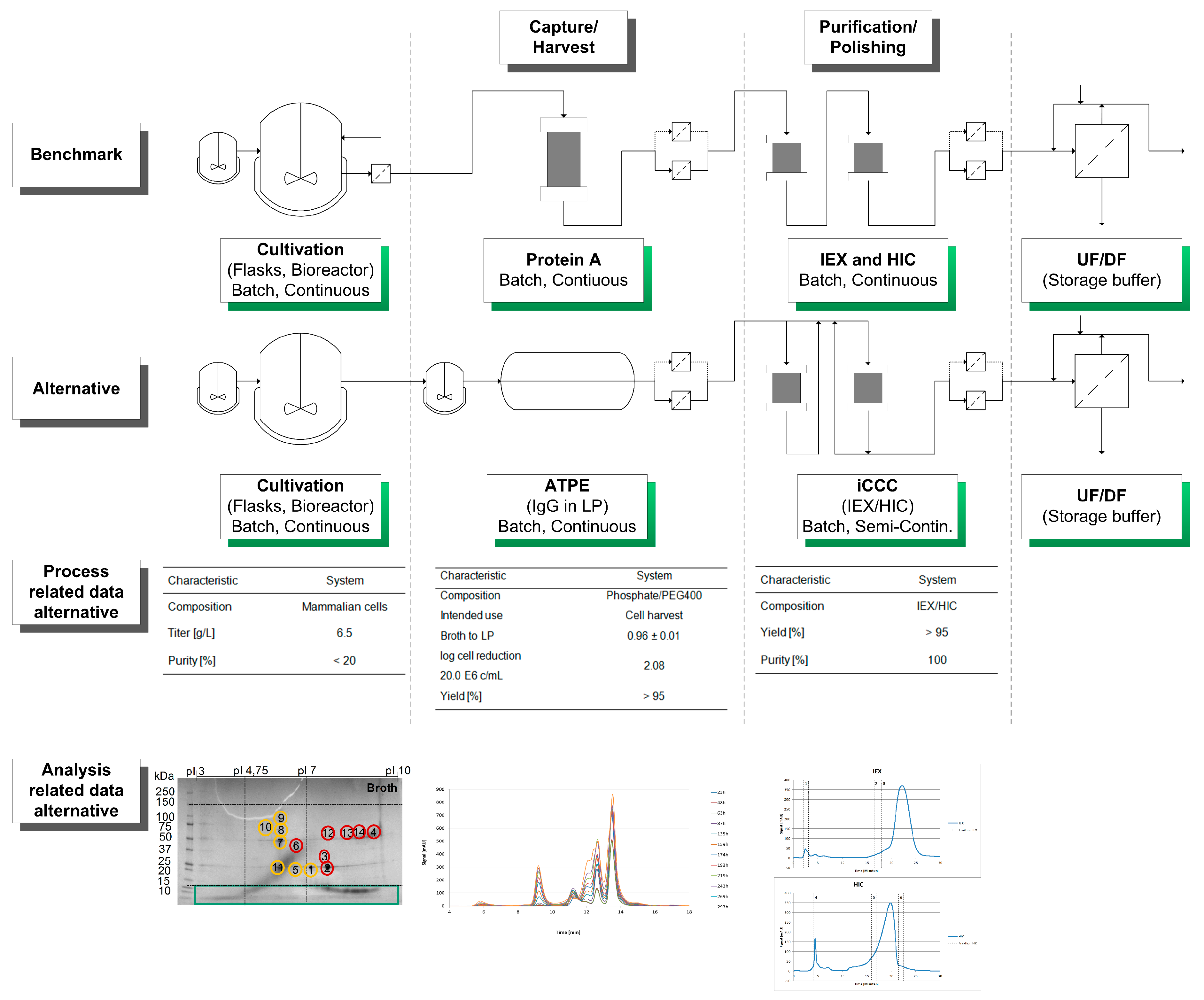 Antibodies 06 00013 g006