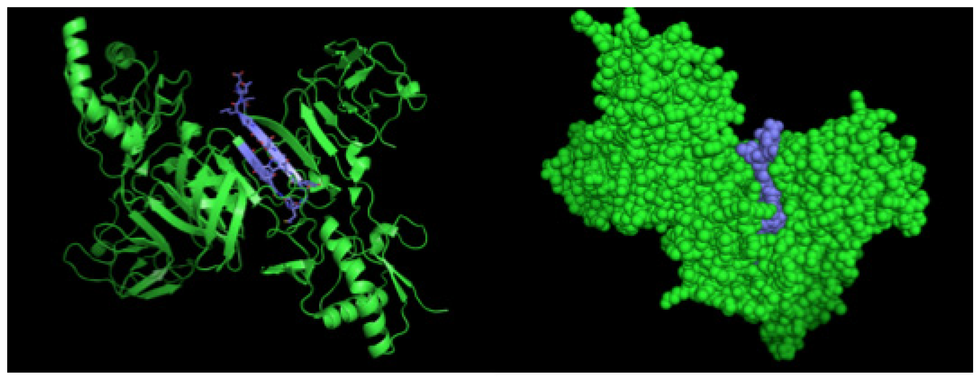 Antibodies 06 00014 g005