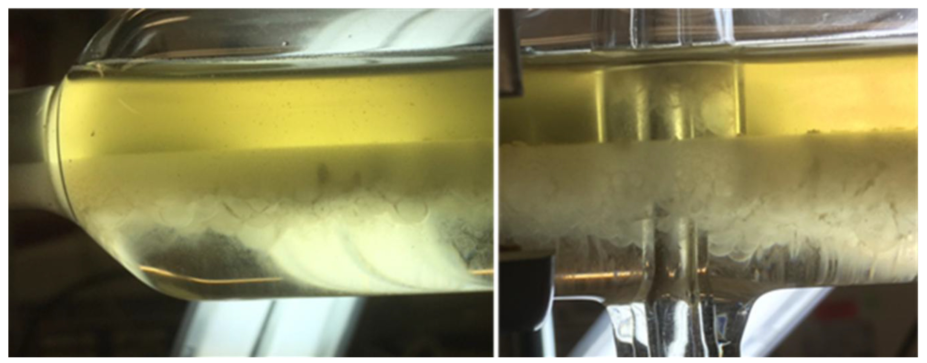 Antibodies 06 00021 g014