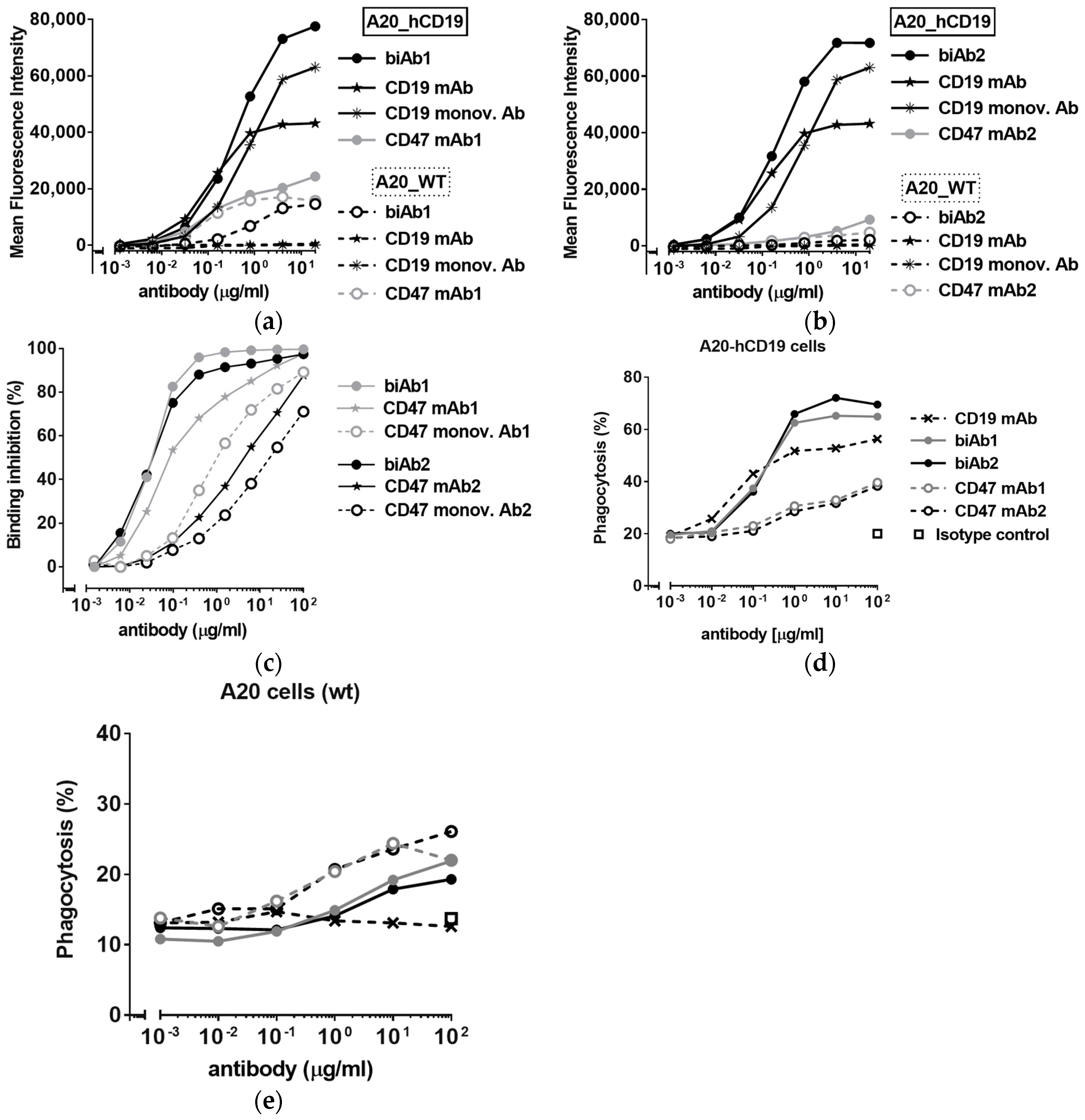 Antibodies 07 00003 g001