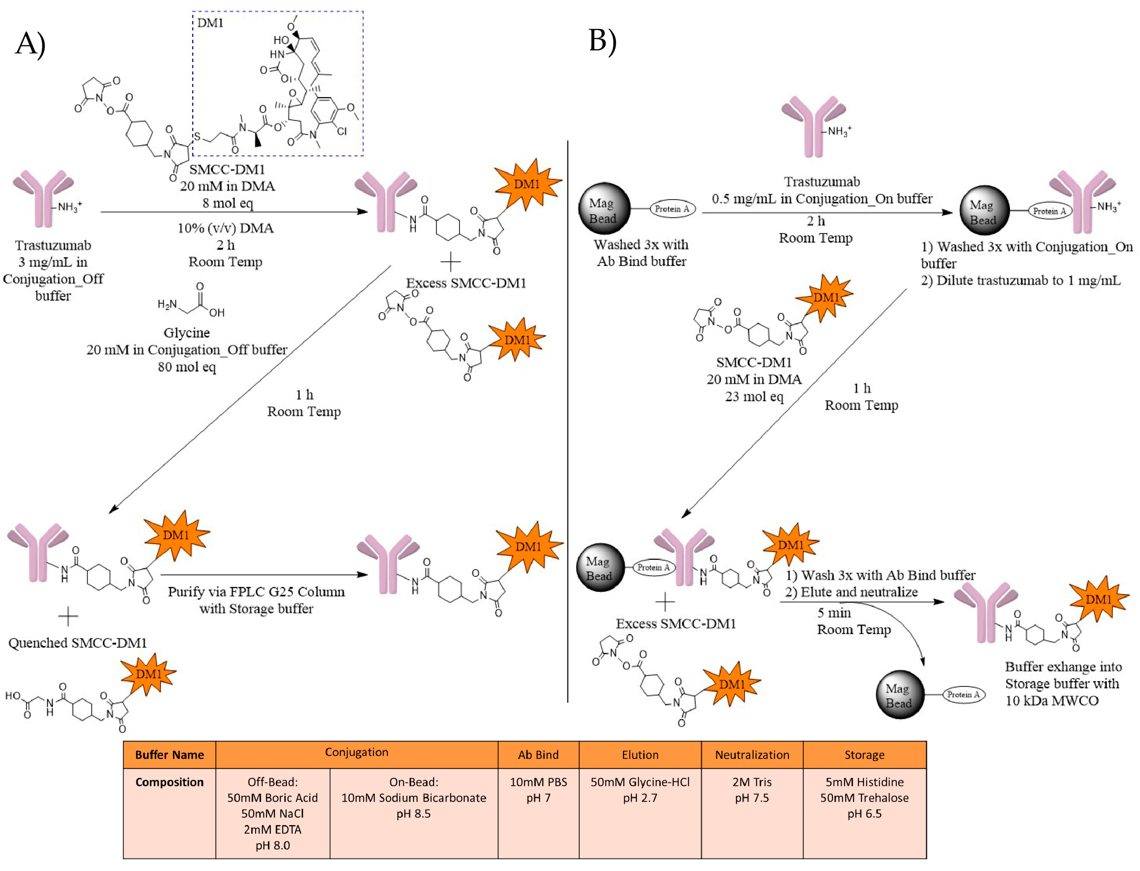 Antibodies 07 00006 g002