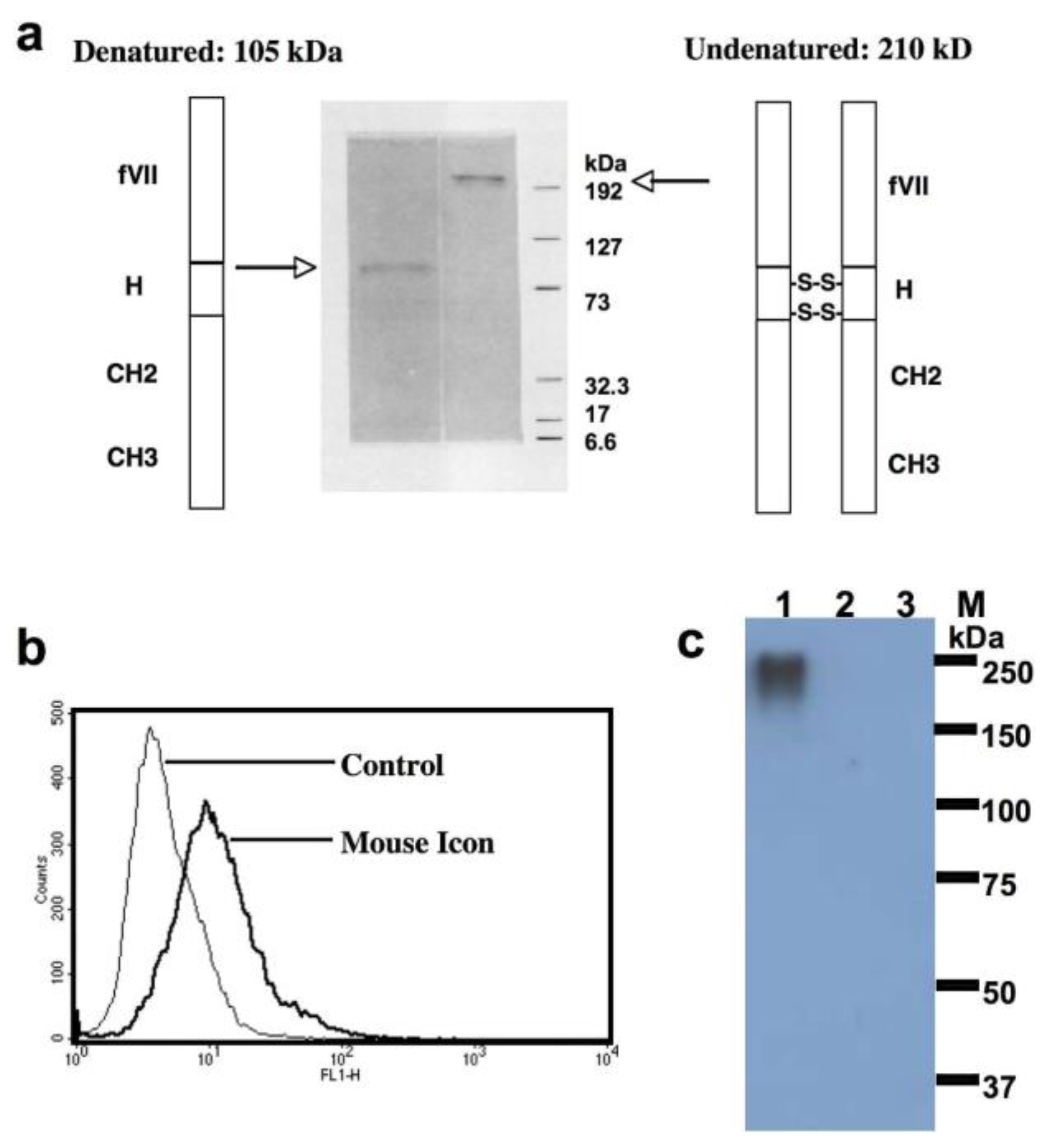 Antibodies 07 00008 g004