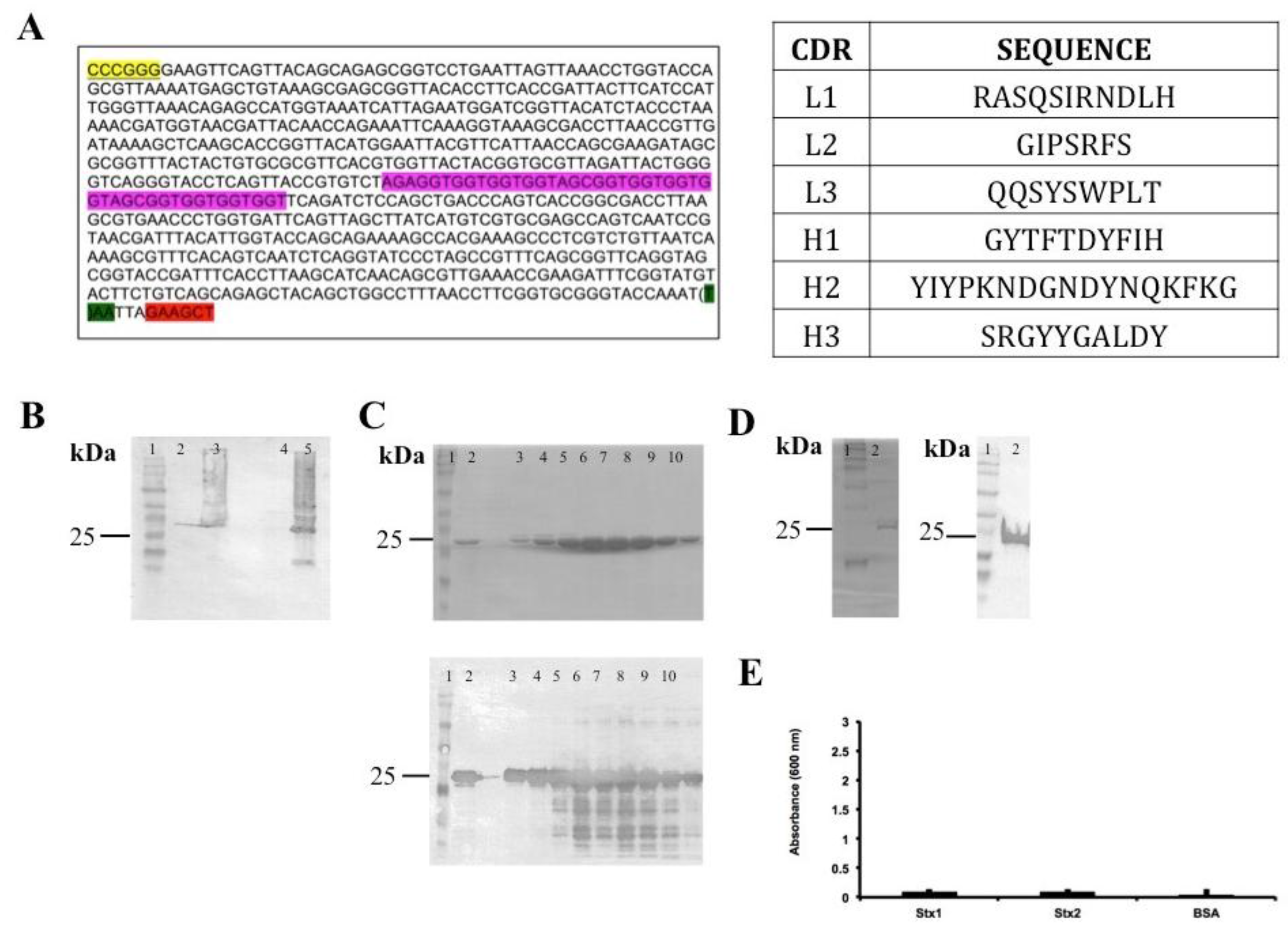 Antibodies 07 00009 g001