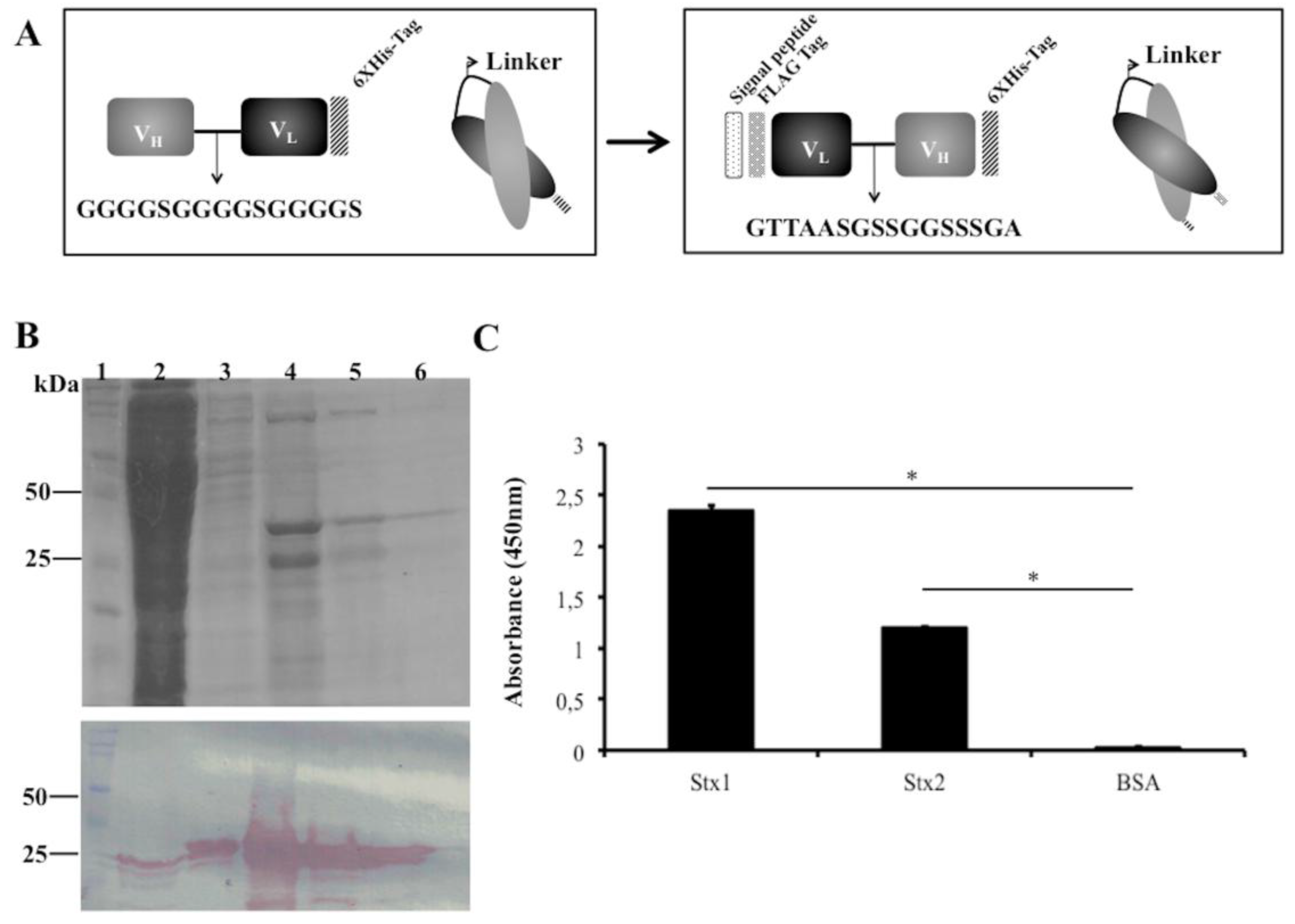 Antibodies 07 00009 g002