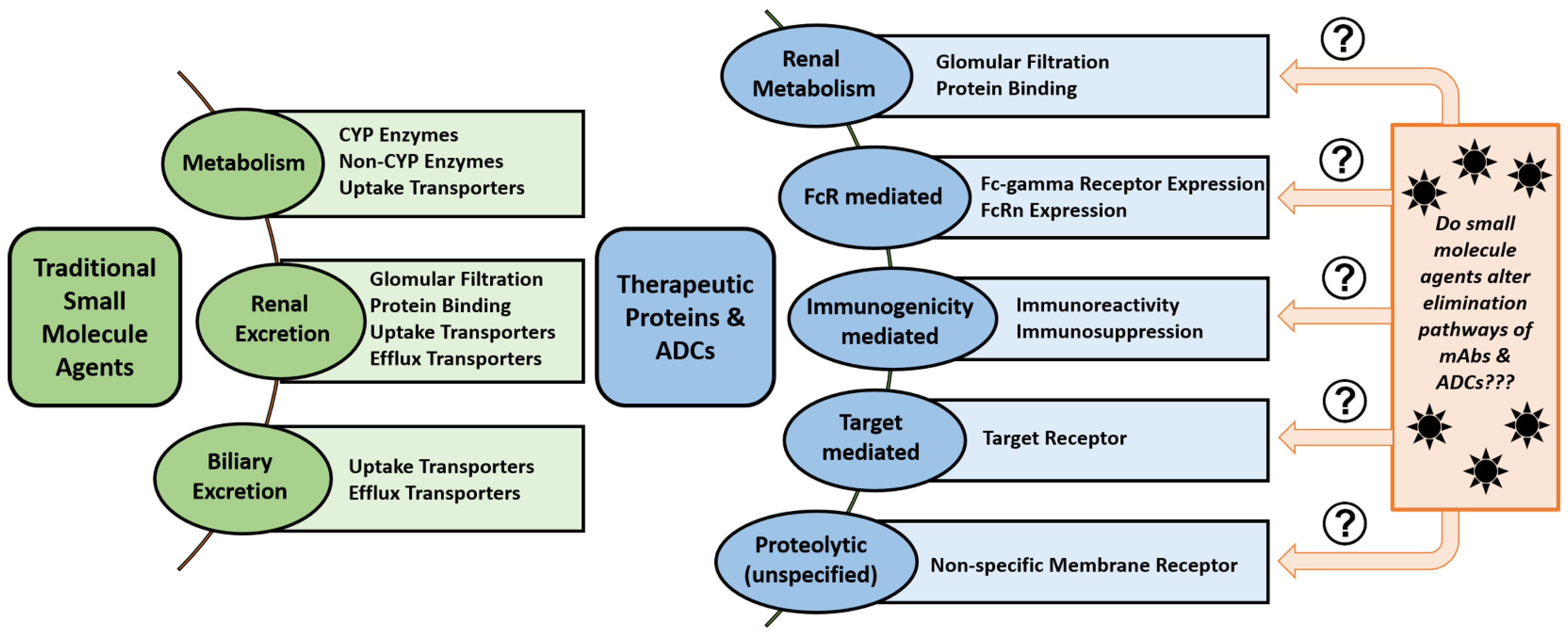 Antibodies 07 00010 g002
