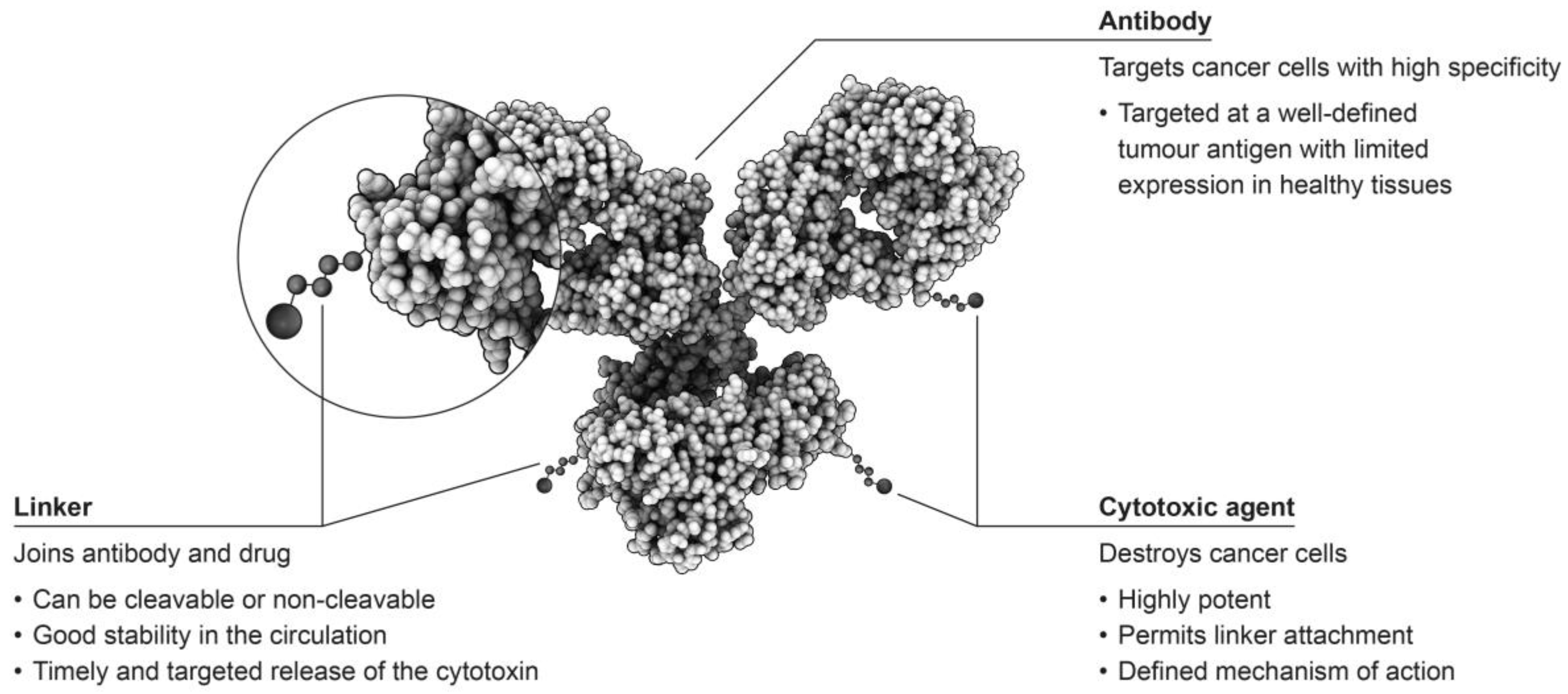 Antibodies 07 00011 g001 Antibodies 07 00011 g001