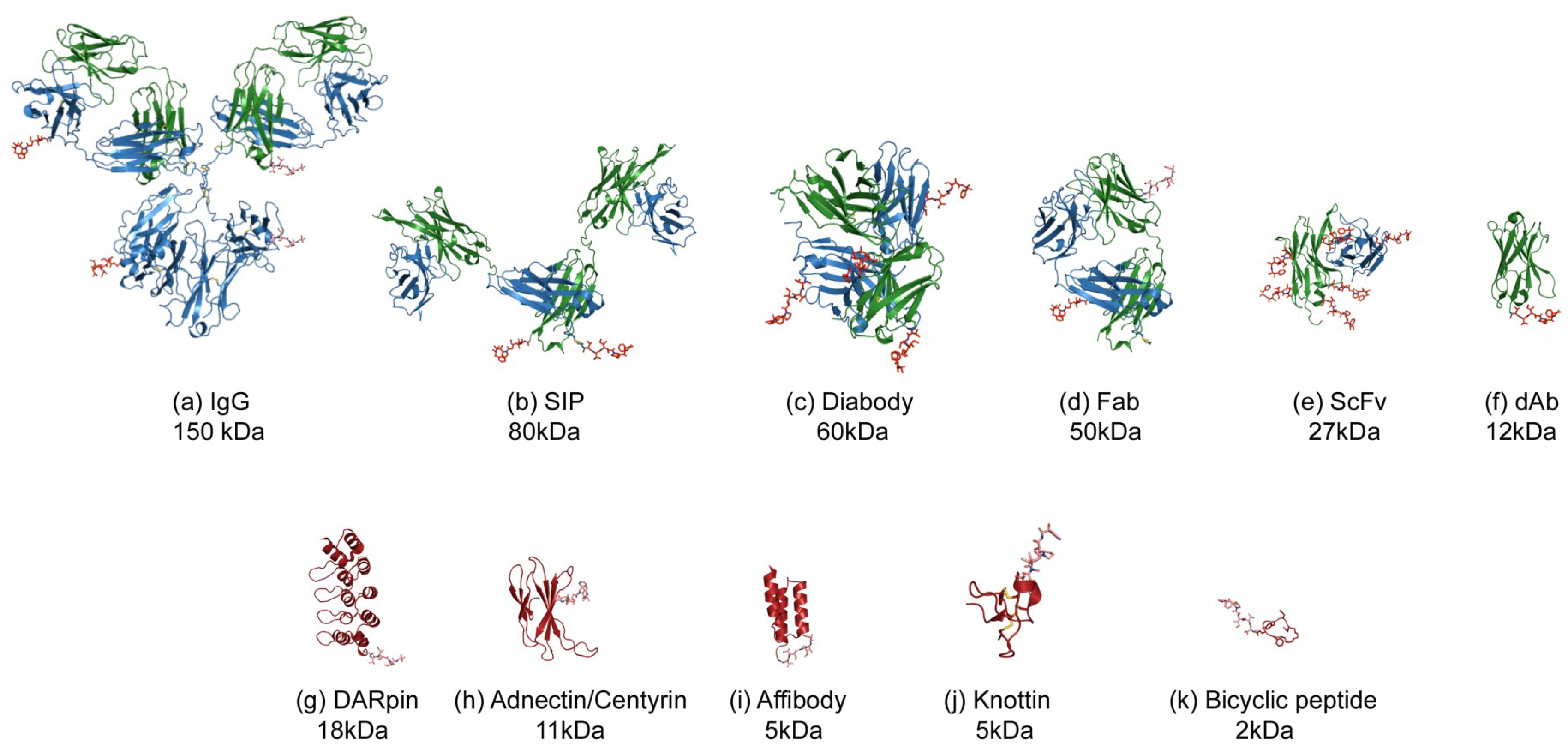 Antibodies 07 00016 g001