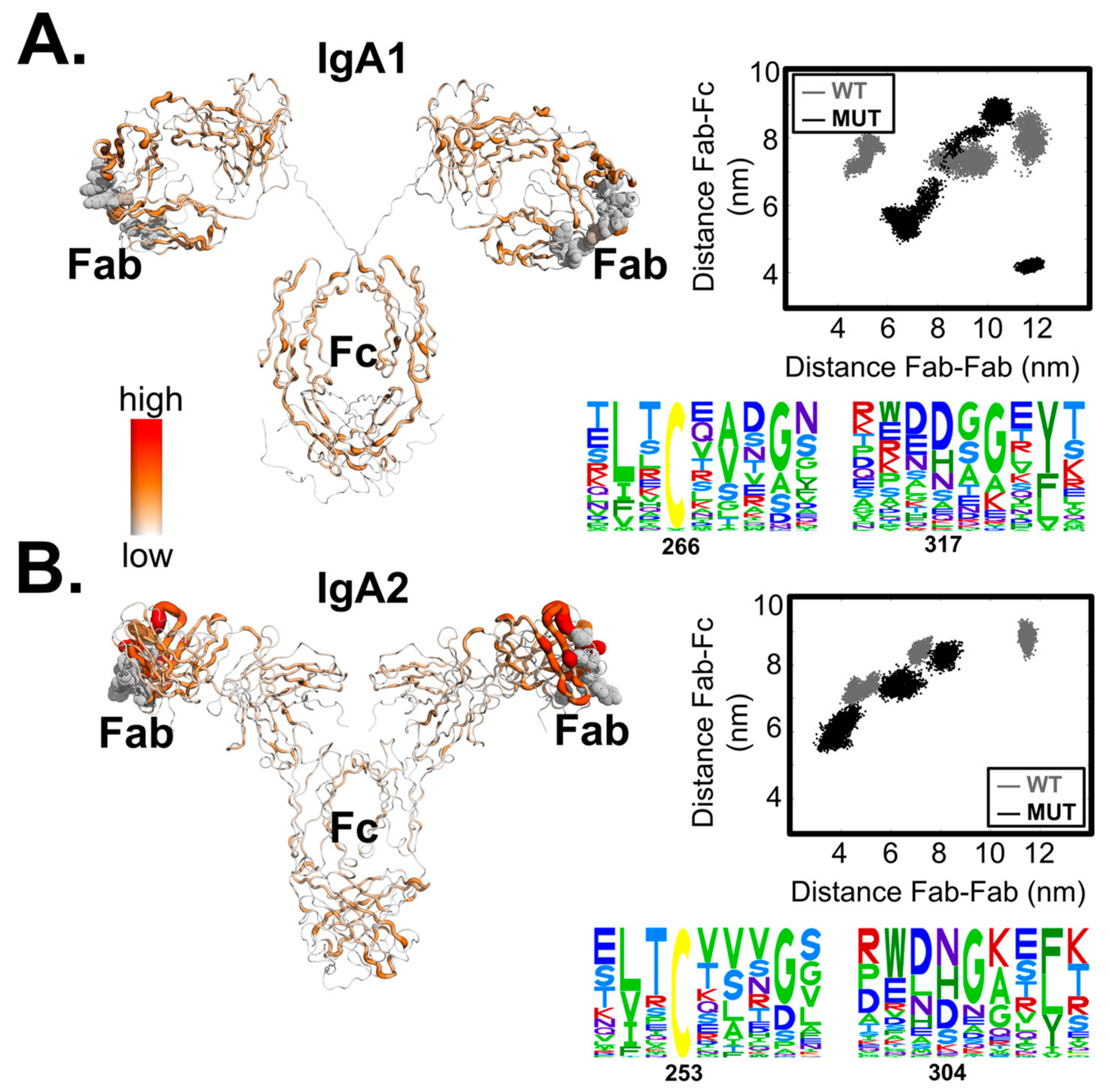 Antibodies 07 00020 g002