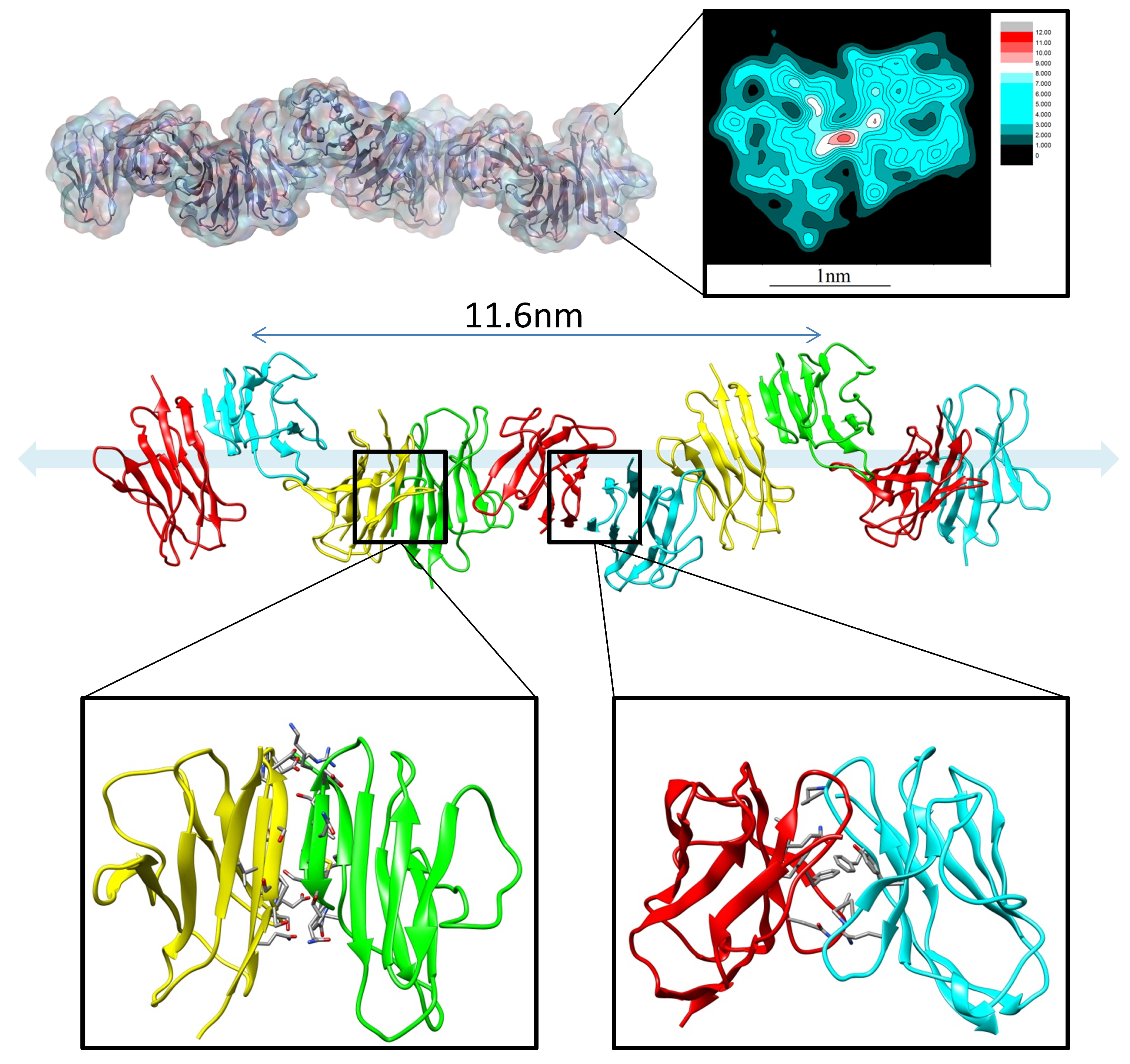 Antibodies 07 00022 g002 Antibodies 07 00022 g002