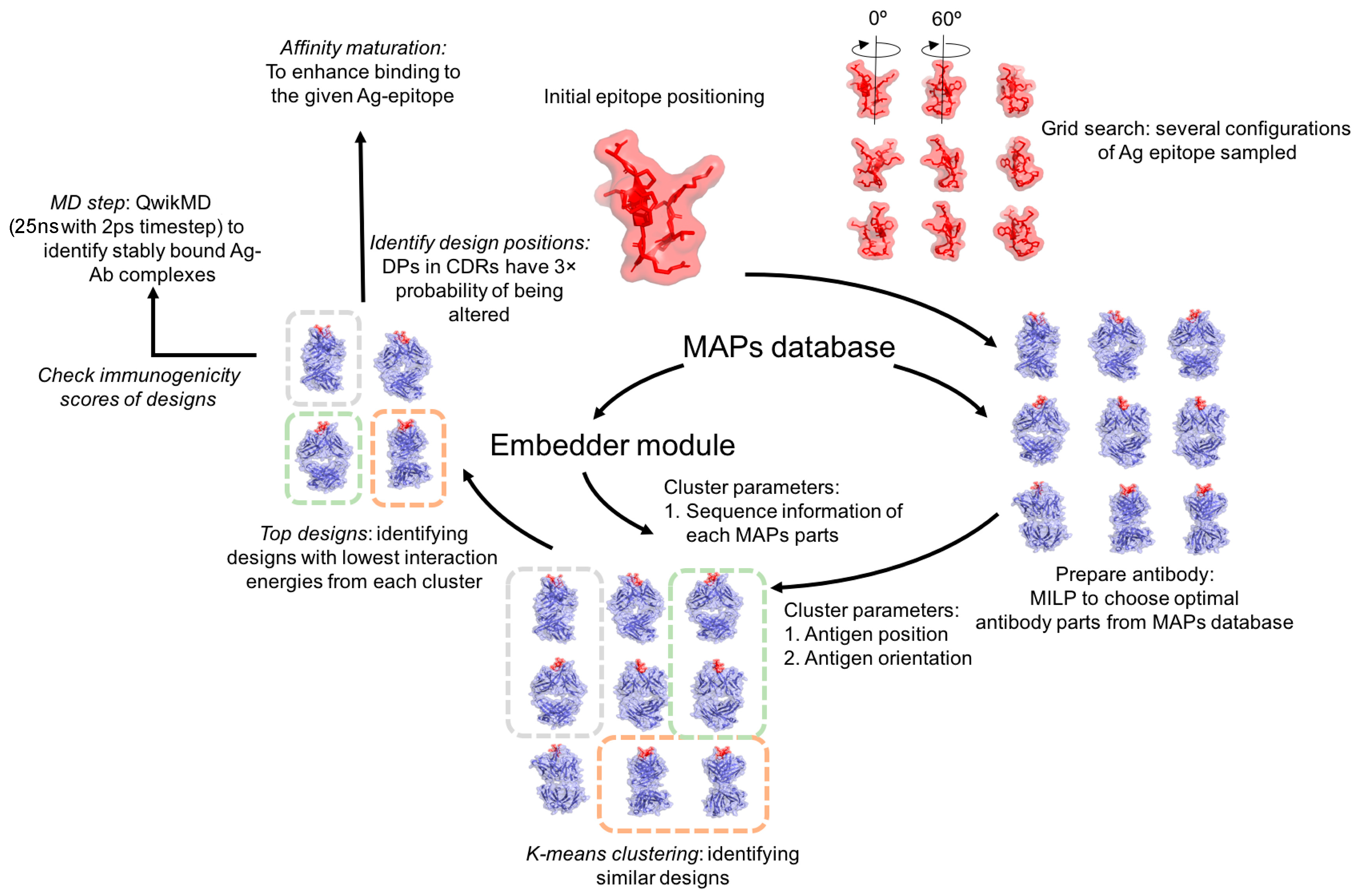 Antibodies 07 00023 g001