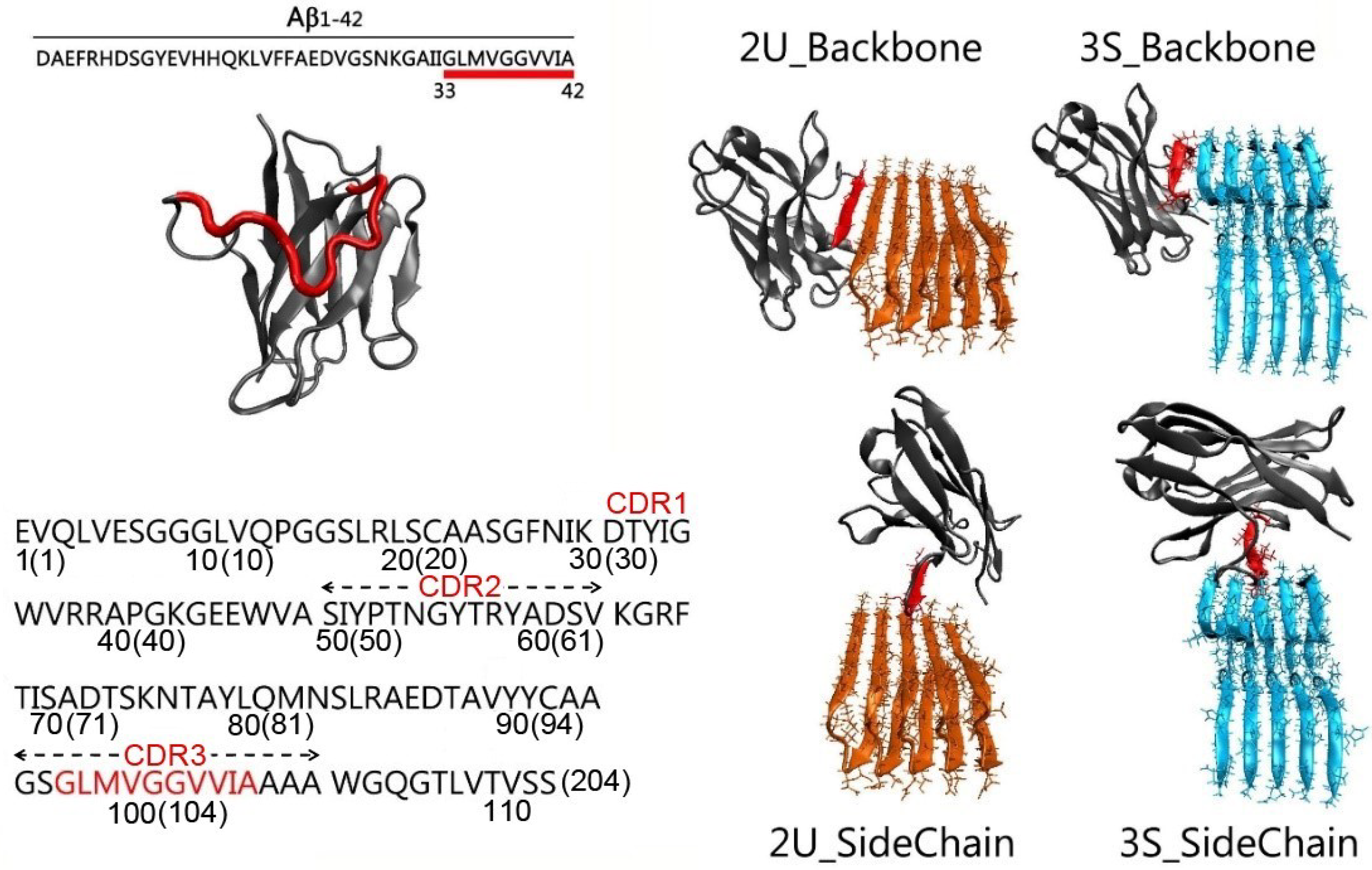 Antibodies 07 00025 g001 Antibodies 07 00025 g001