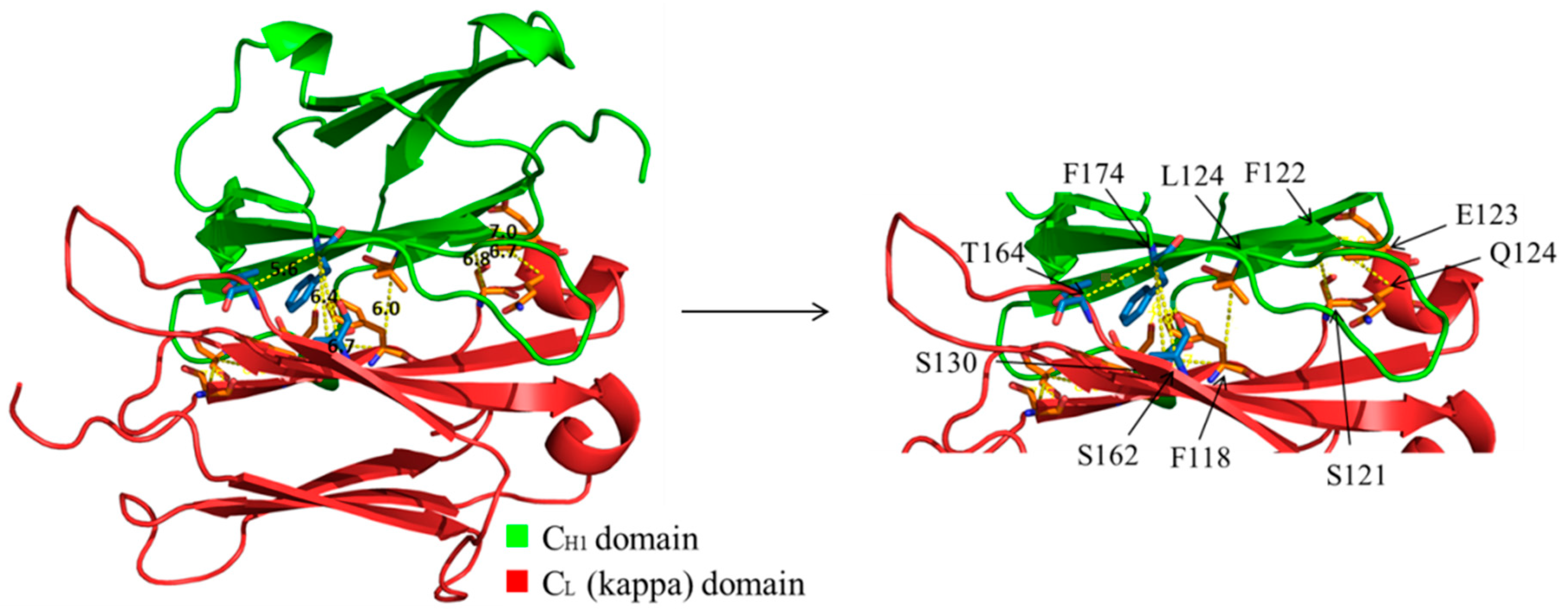 Antibodies 07 00027 g001