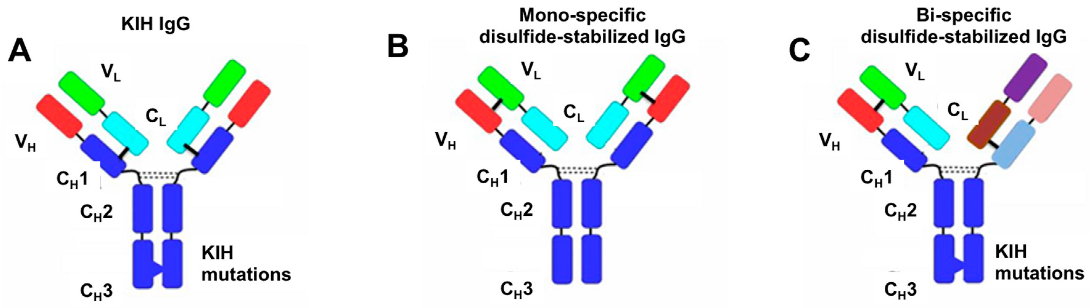 Antibodies 07 00027 g002