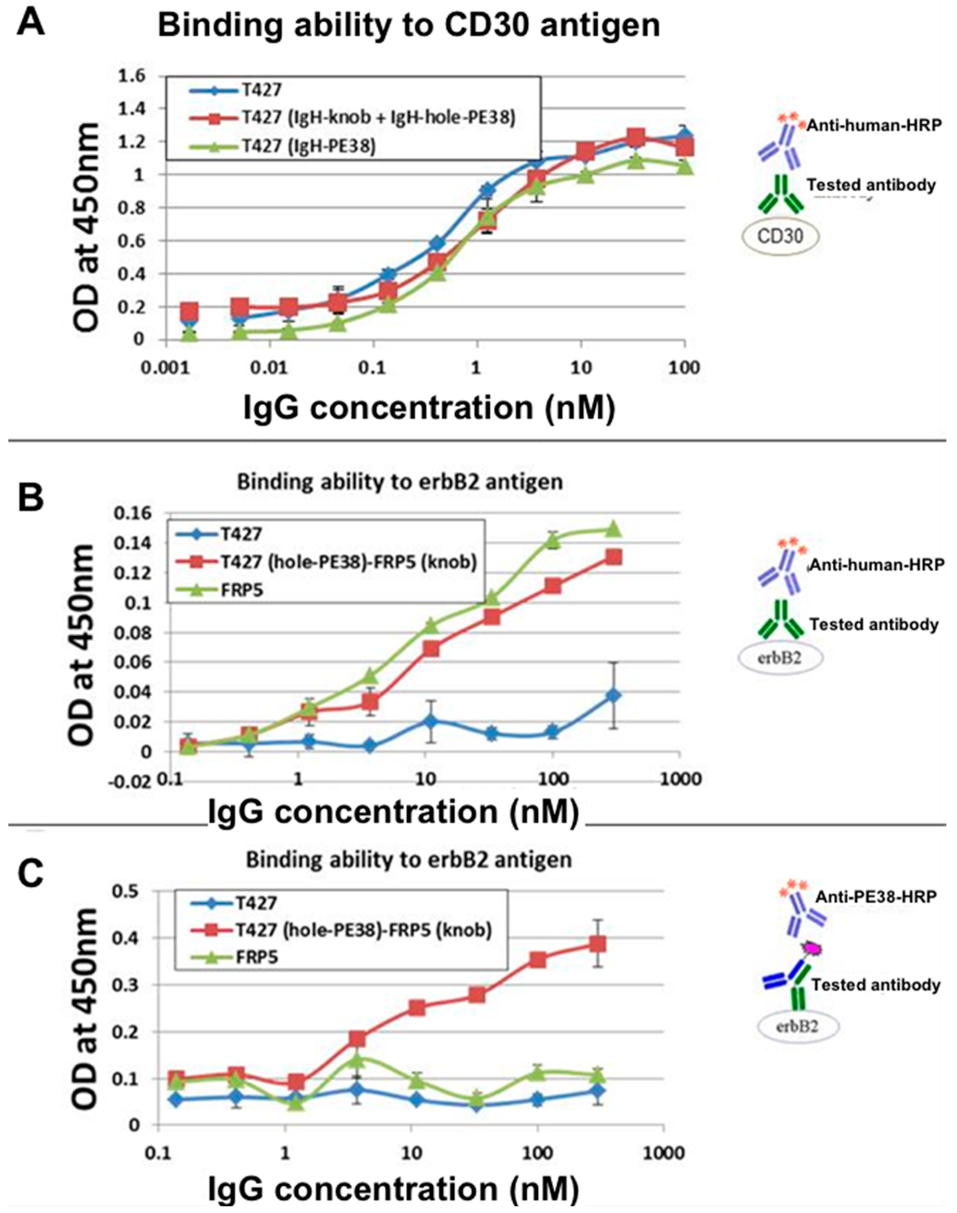 Antibodies 07 00027 g004