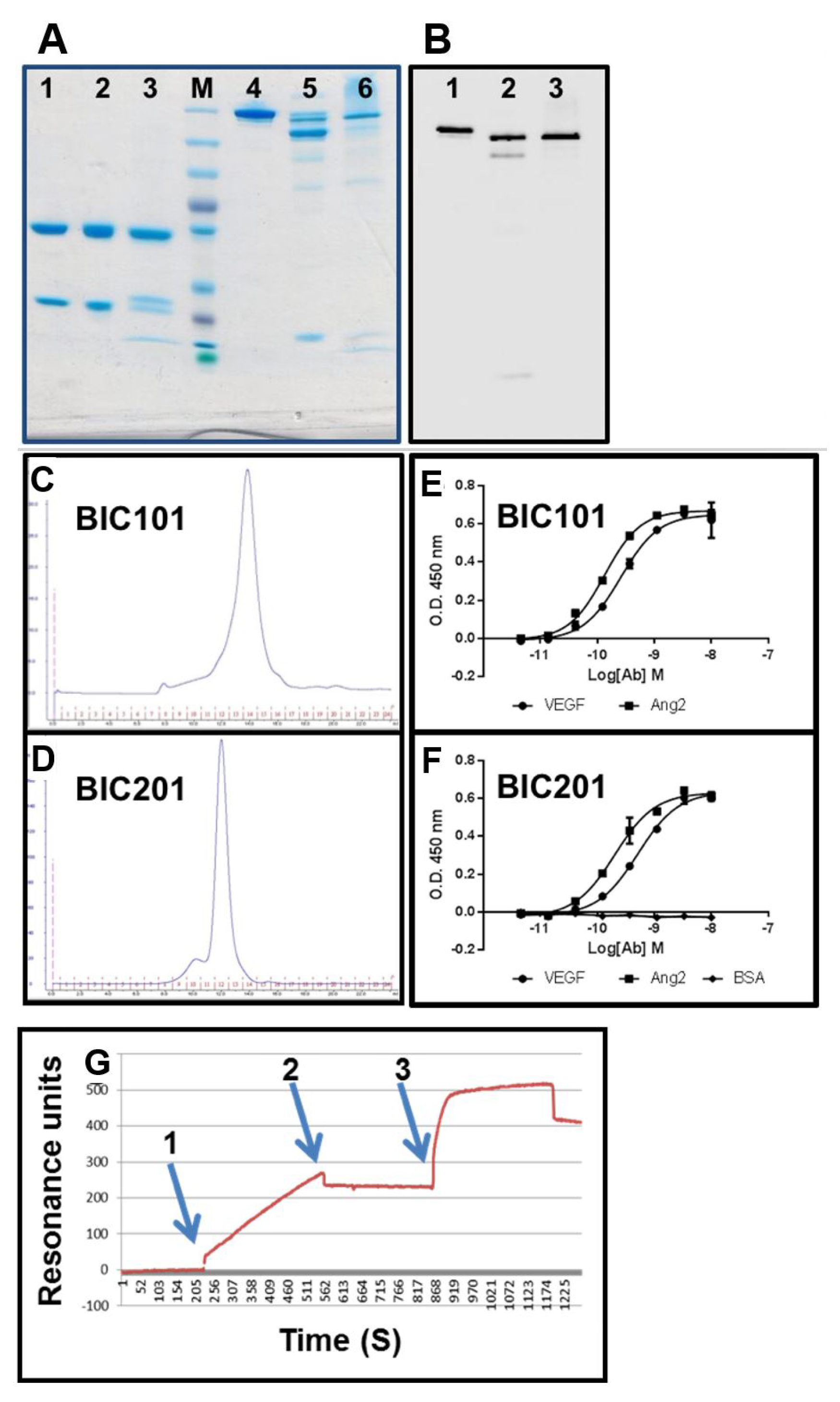 Antibodies 07 00027 g012
