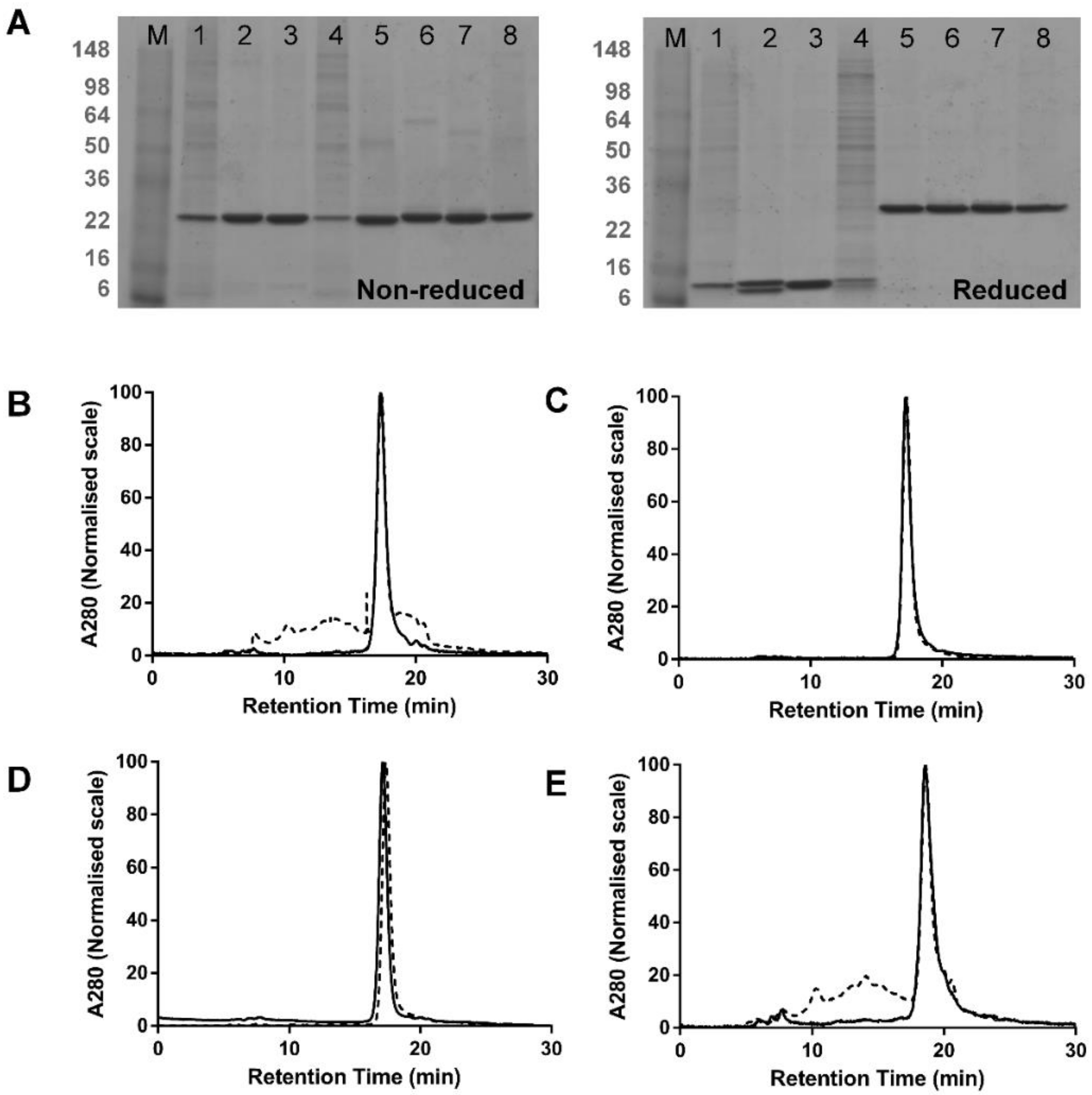 Antibodies 07 00035 g002