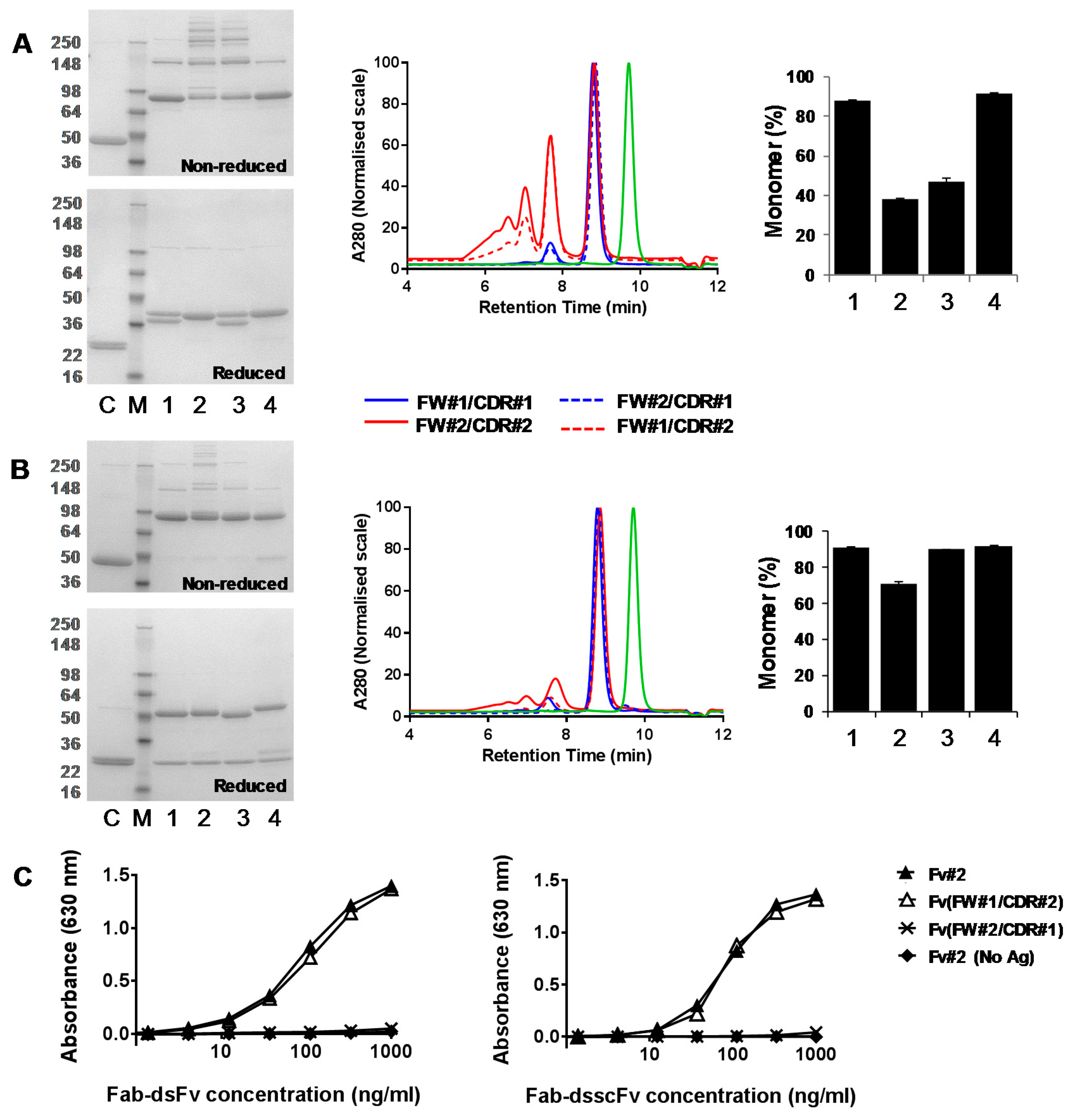 Antibodies 07 00035 g004