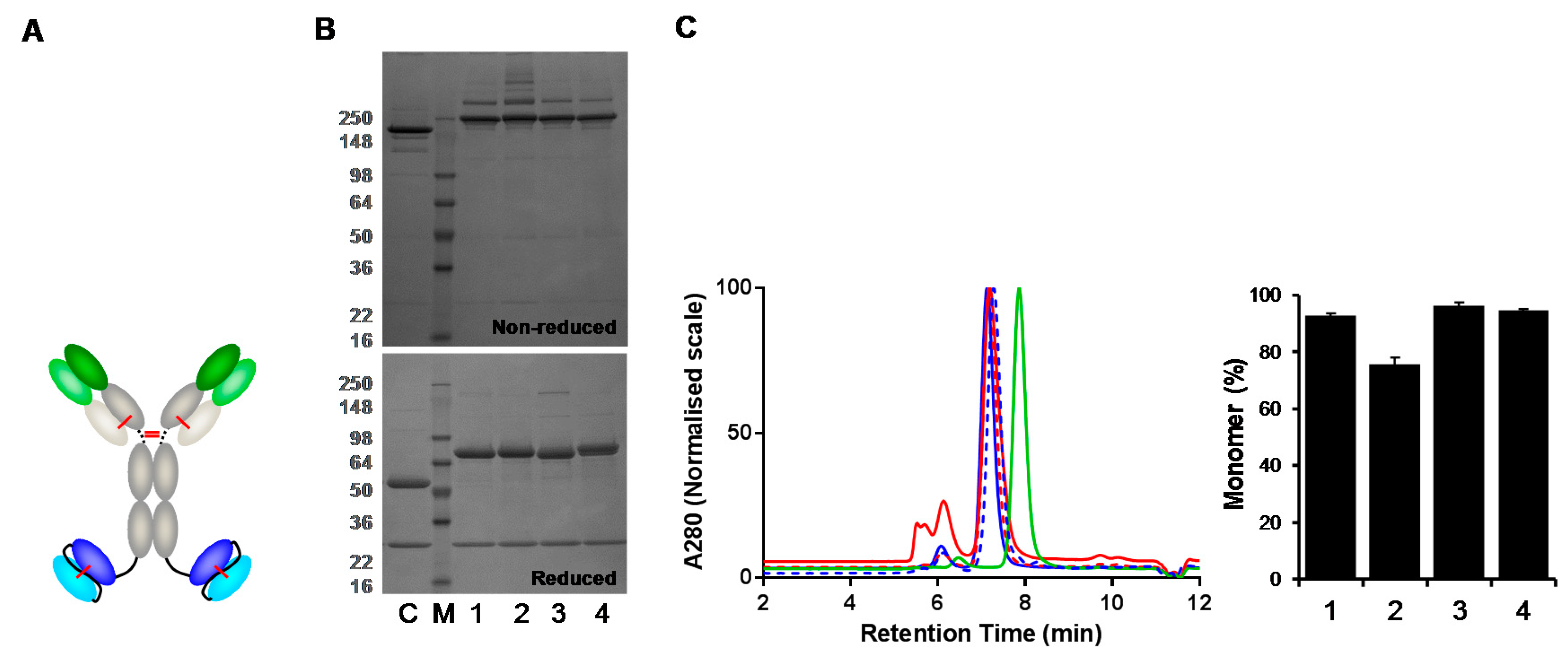 Antibodies 07 00035 g005