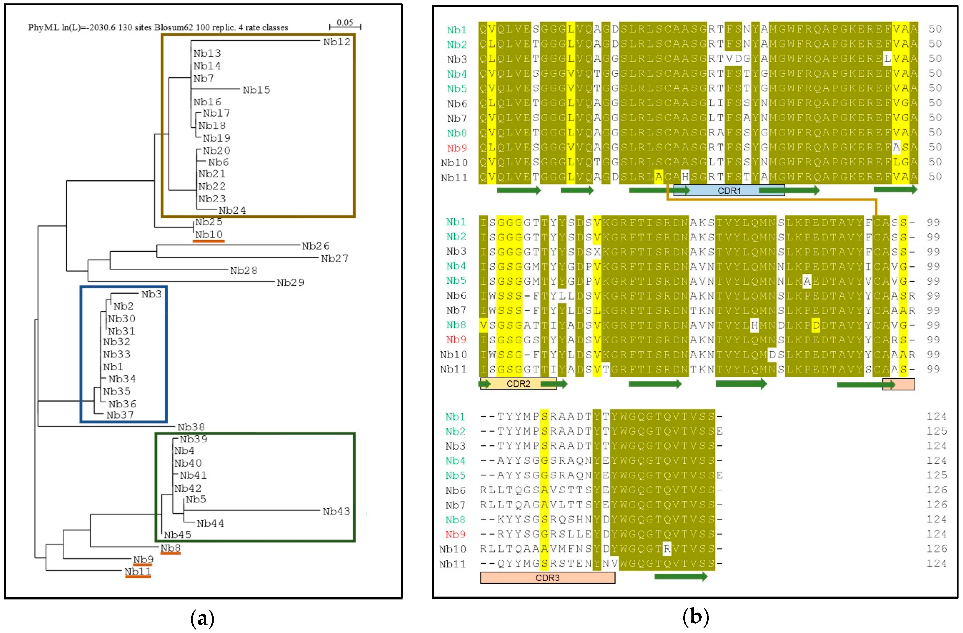 Antibodies 07 00039 g004