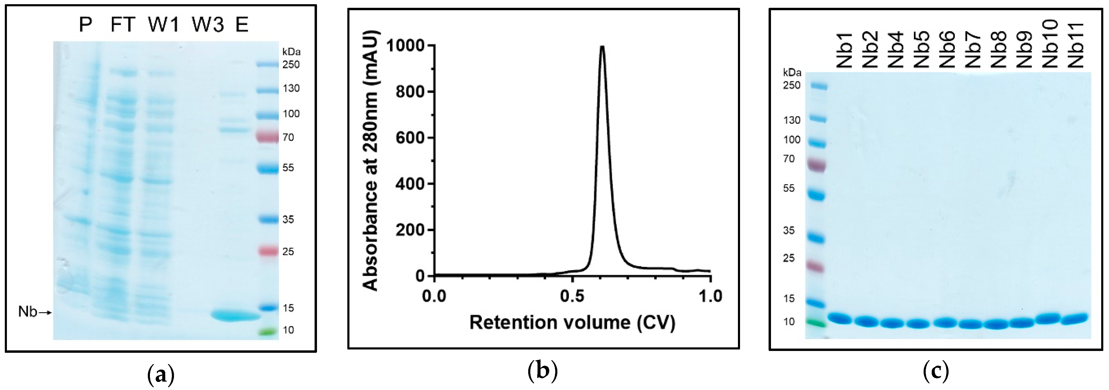 Antibodies 07 00039 g005