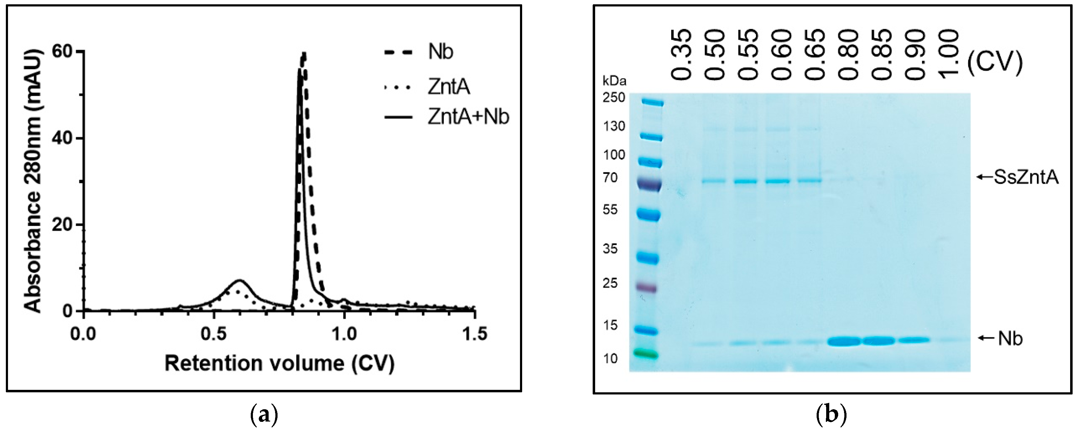 Antibodies 07 00039 g006