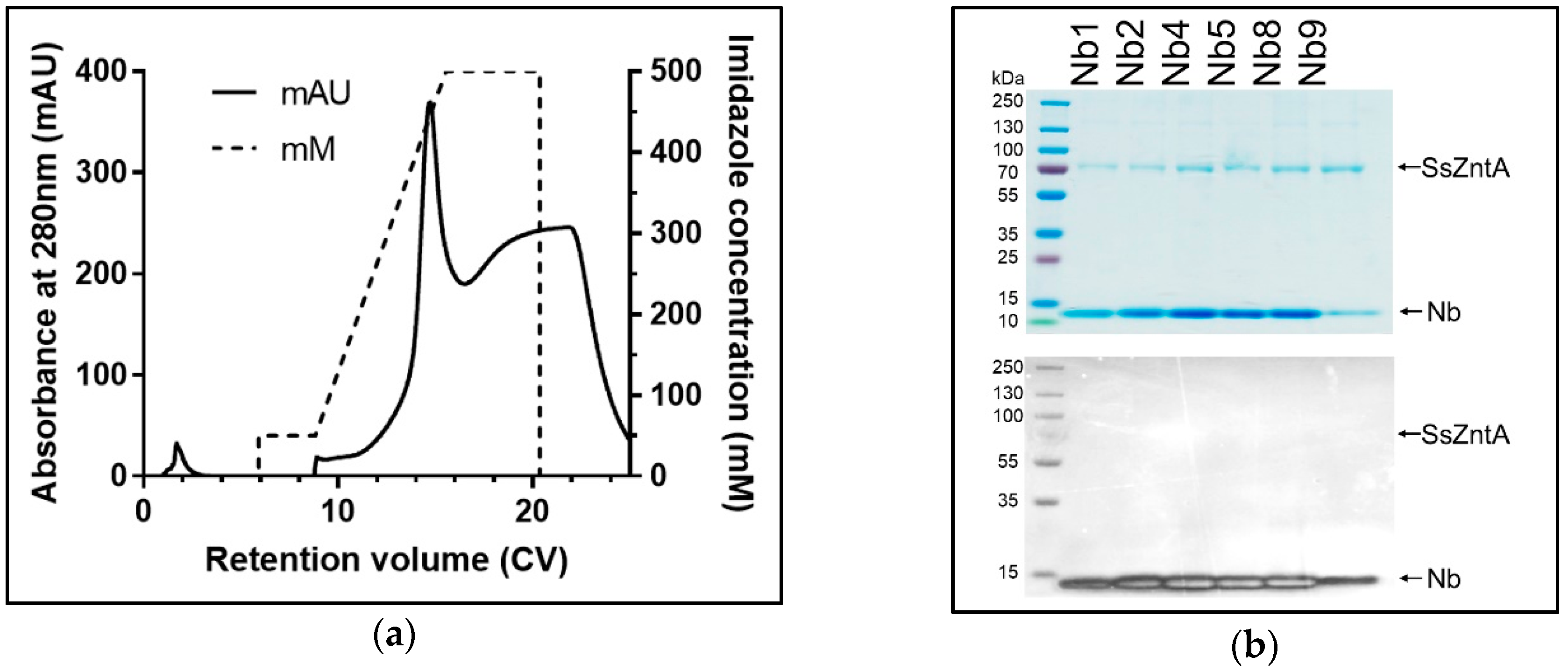 Antibodies 07 00039 g009