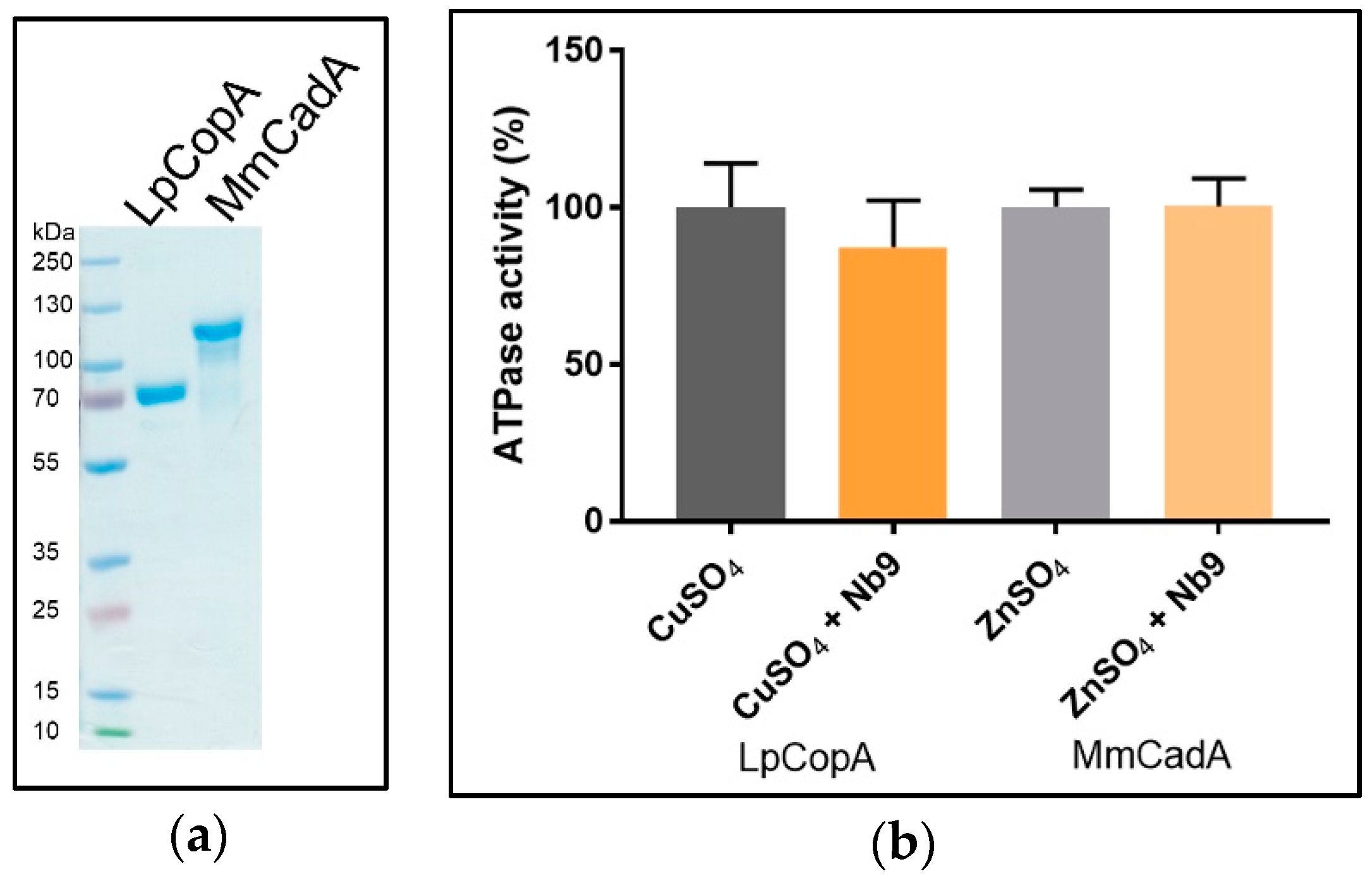 Antibodies 07 00039 g011