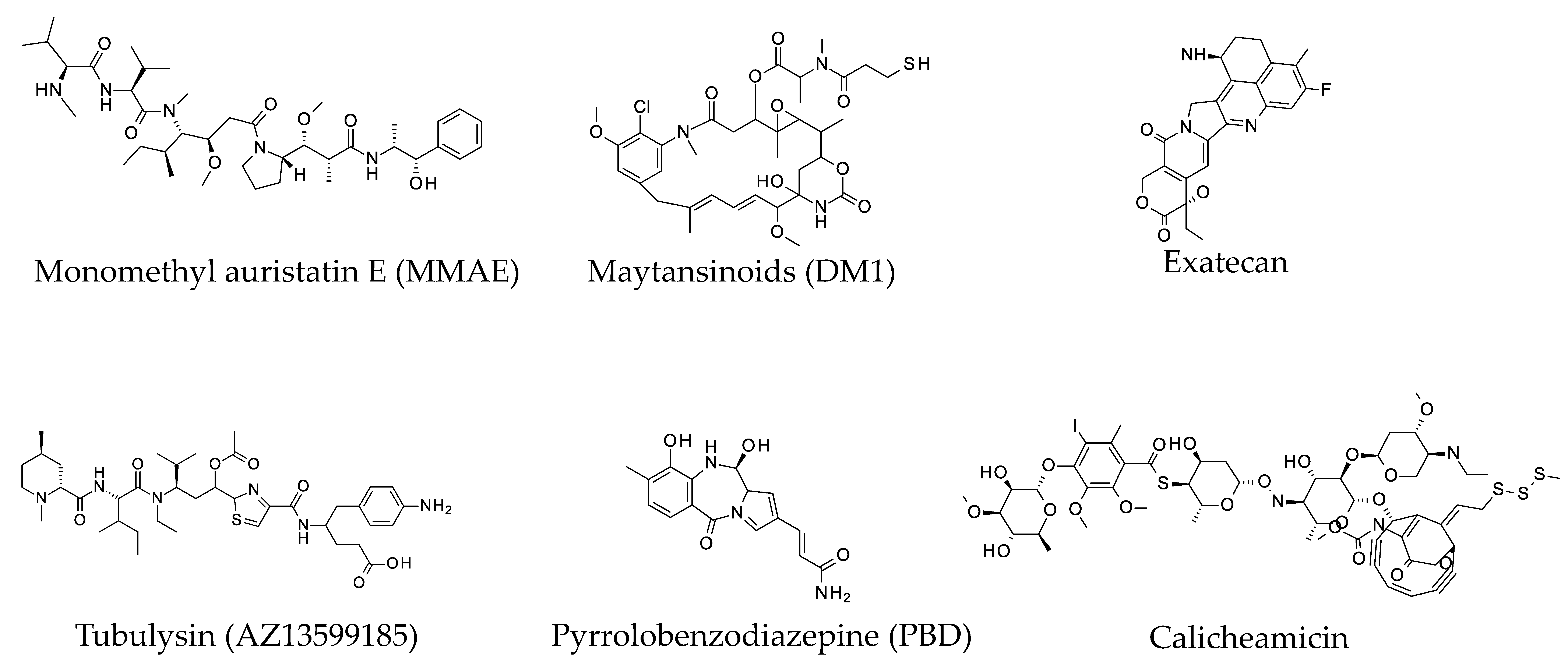 Antibodies 07 00041 g001