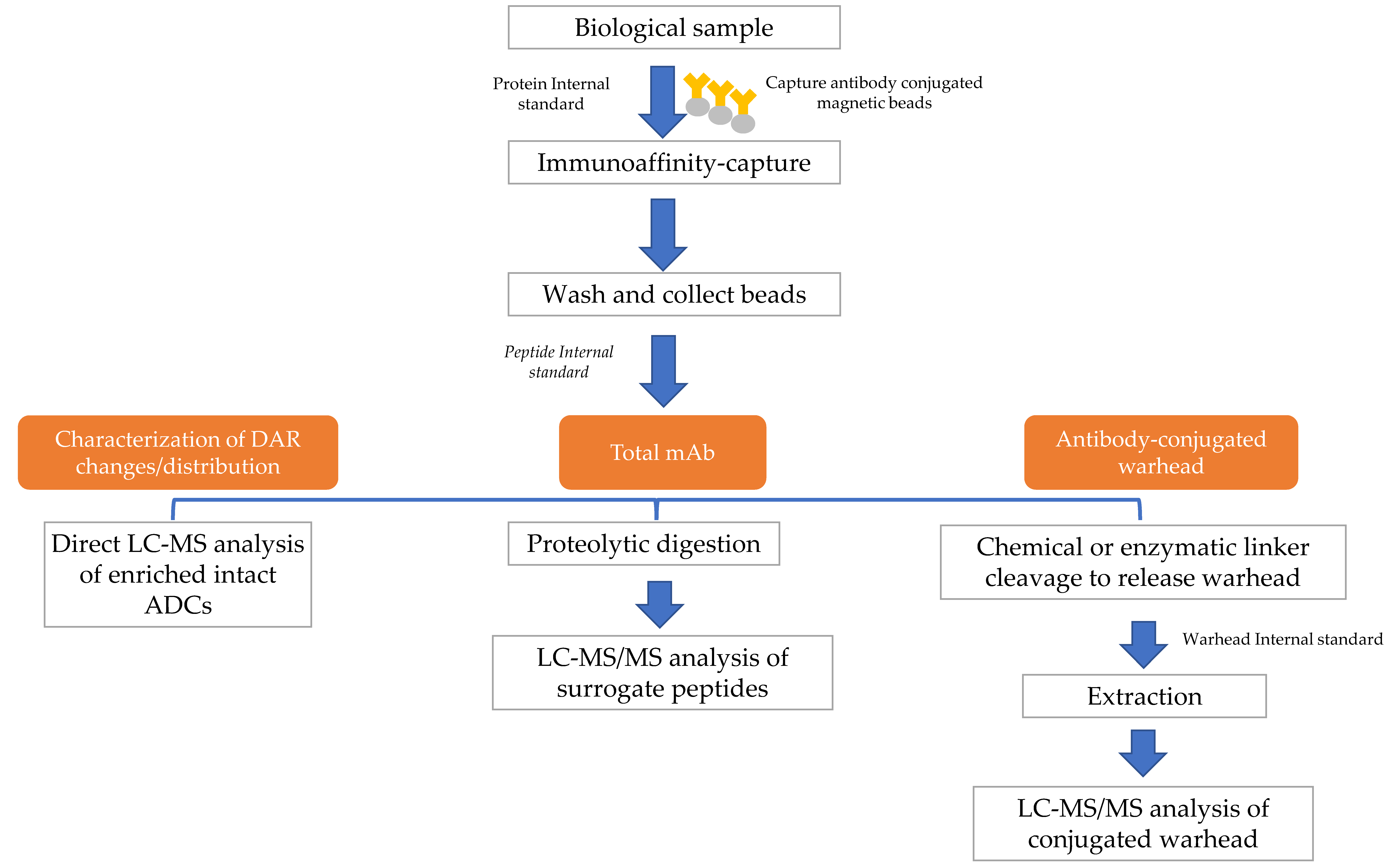 Antibodies 07 00041 g002