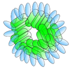 Antibodies 08 00001 i007