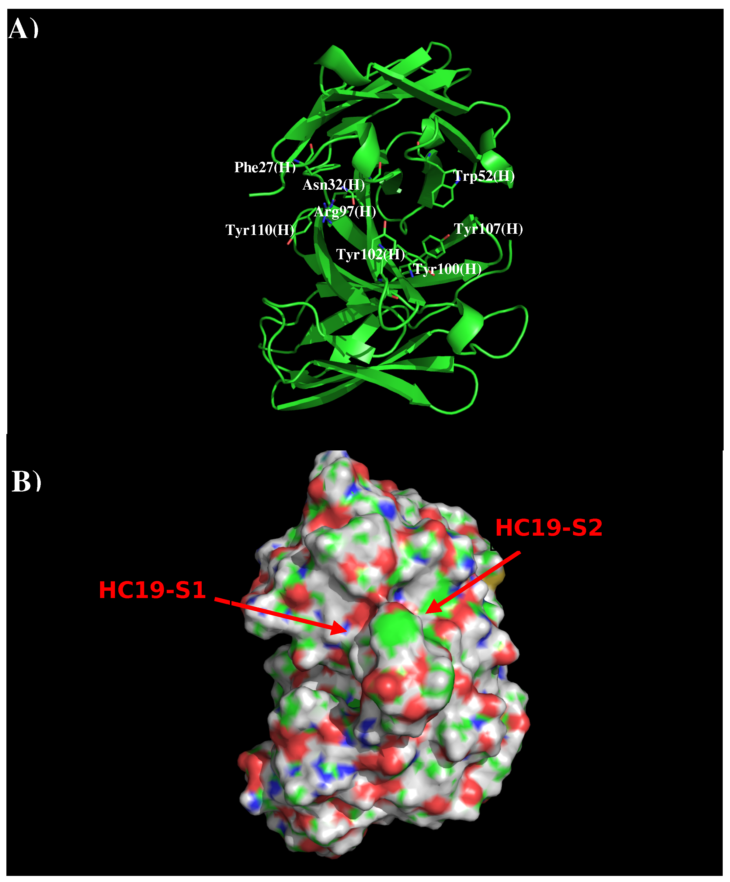 Antibodies 08 00002 g001