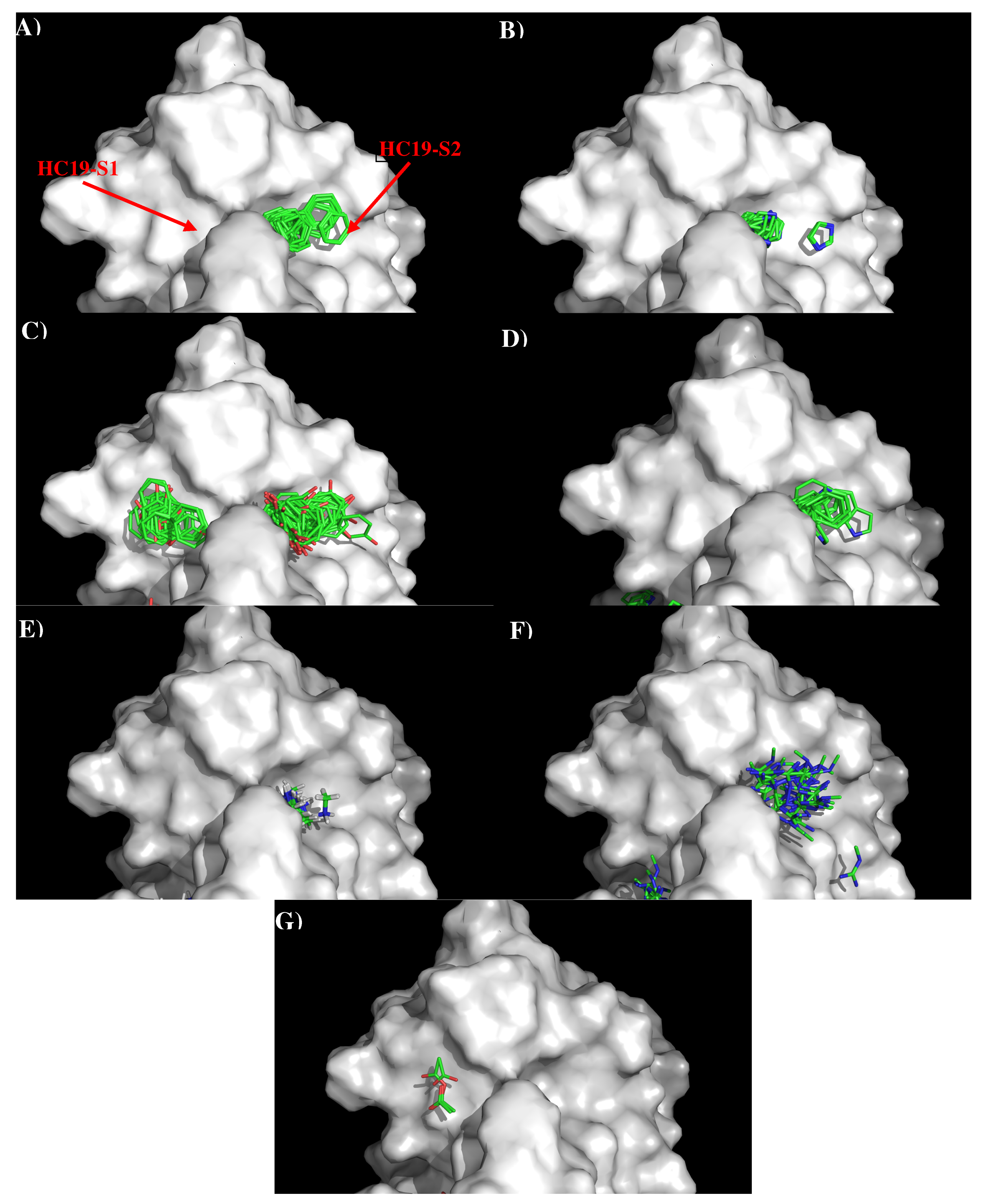 Antibodies 08 00002 g002
