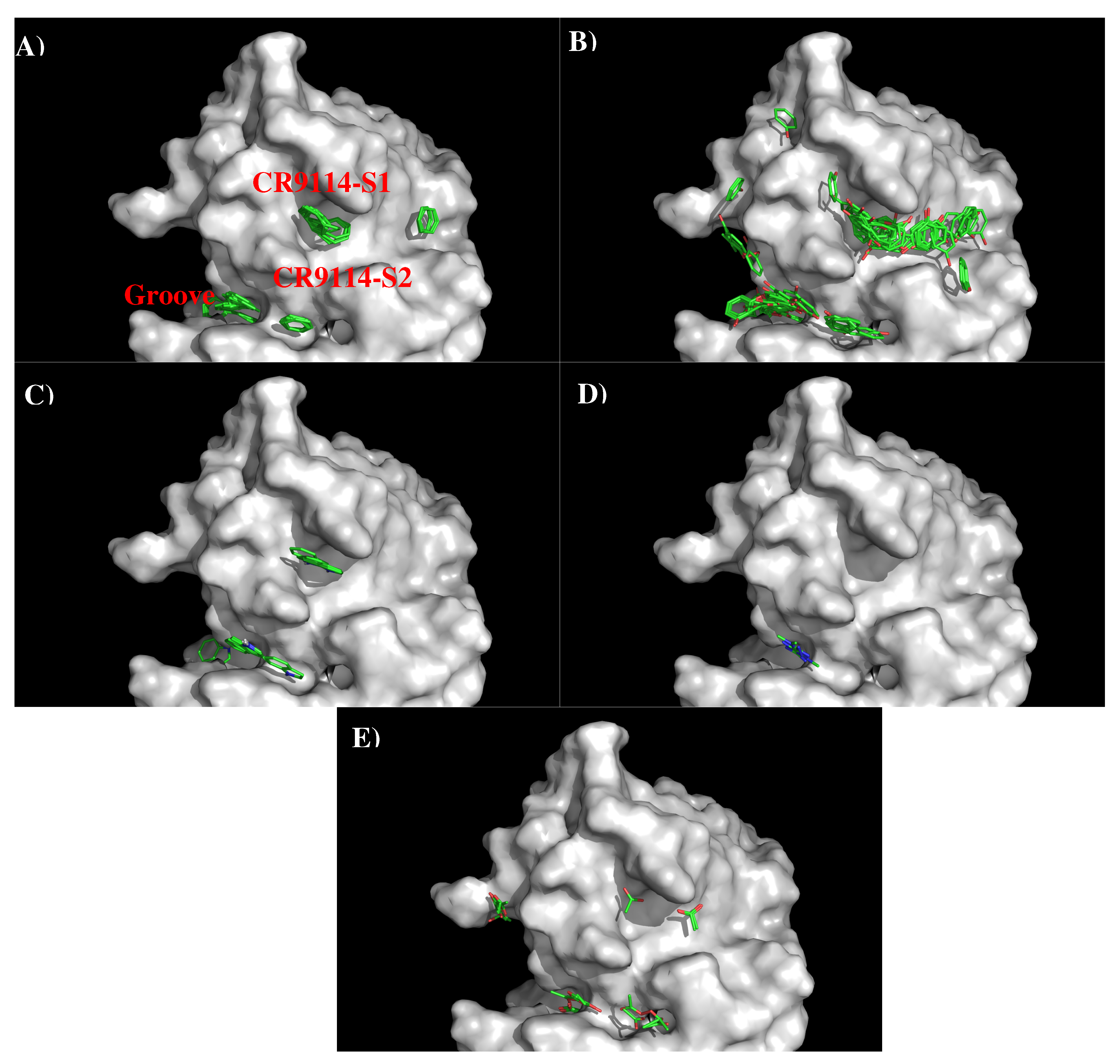 Antibodies 08 00002 g005