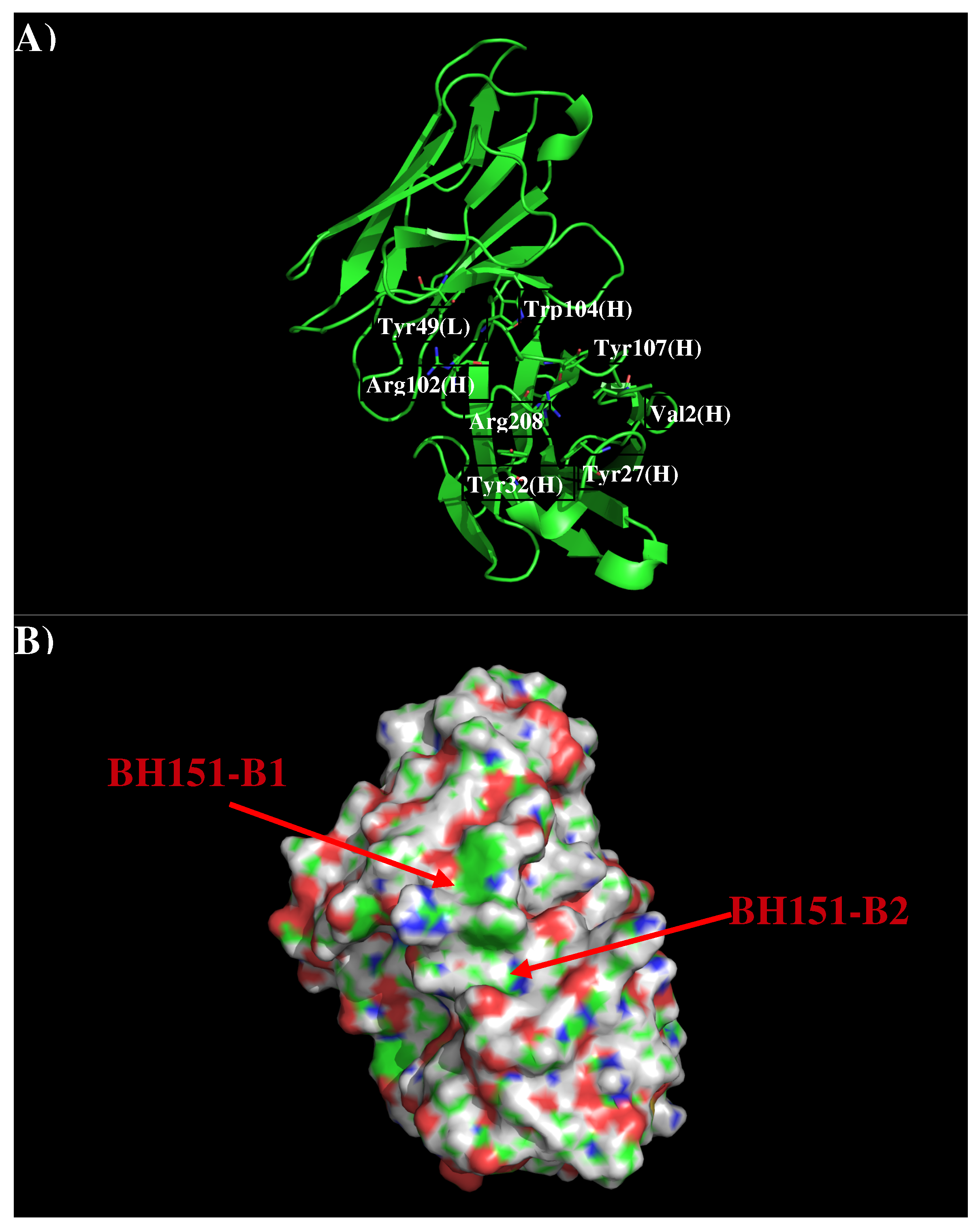 Antibodies 08 00002 g007