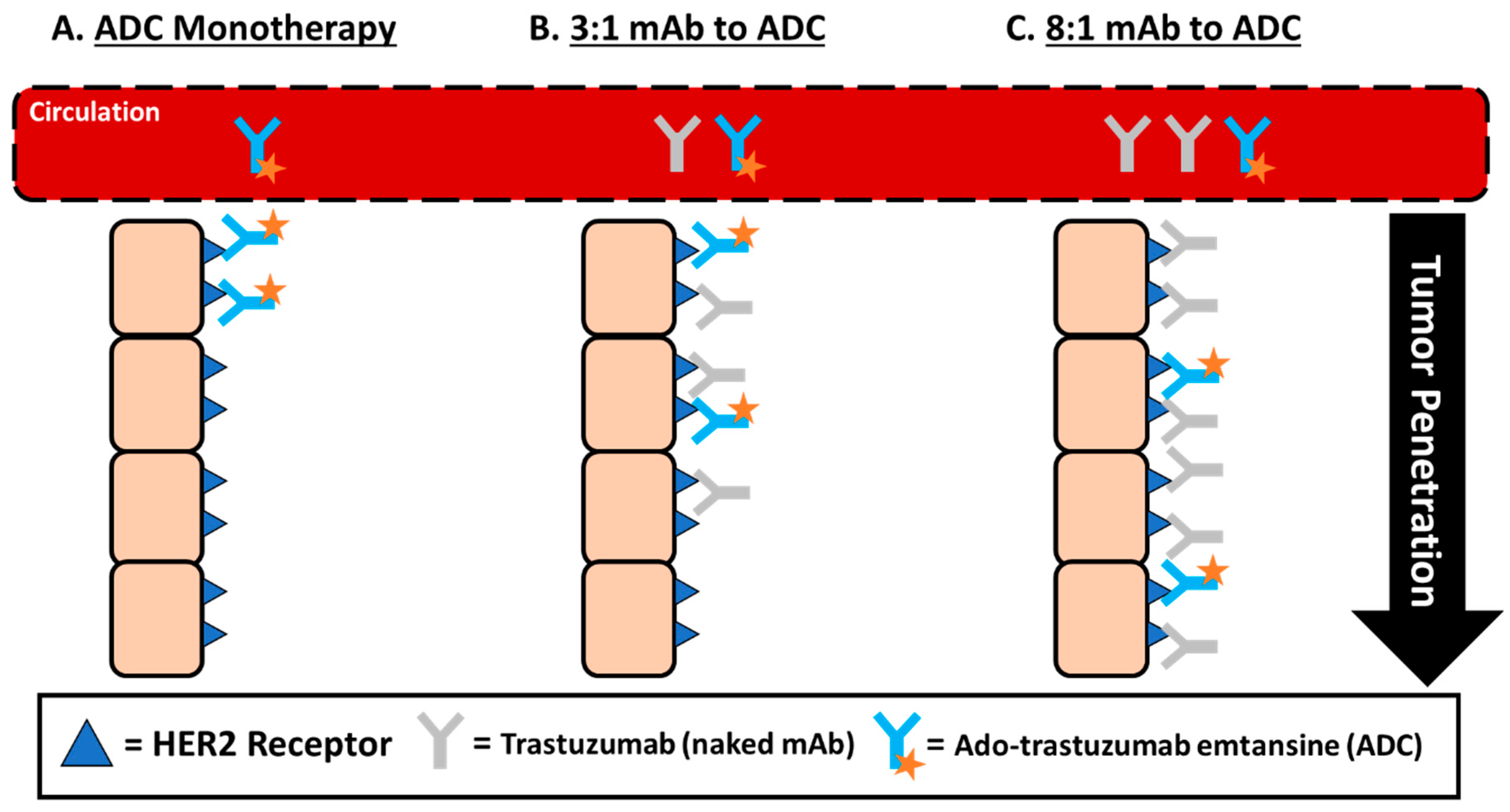 Antibodies 08 00003 g003