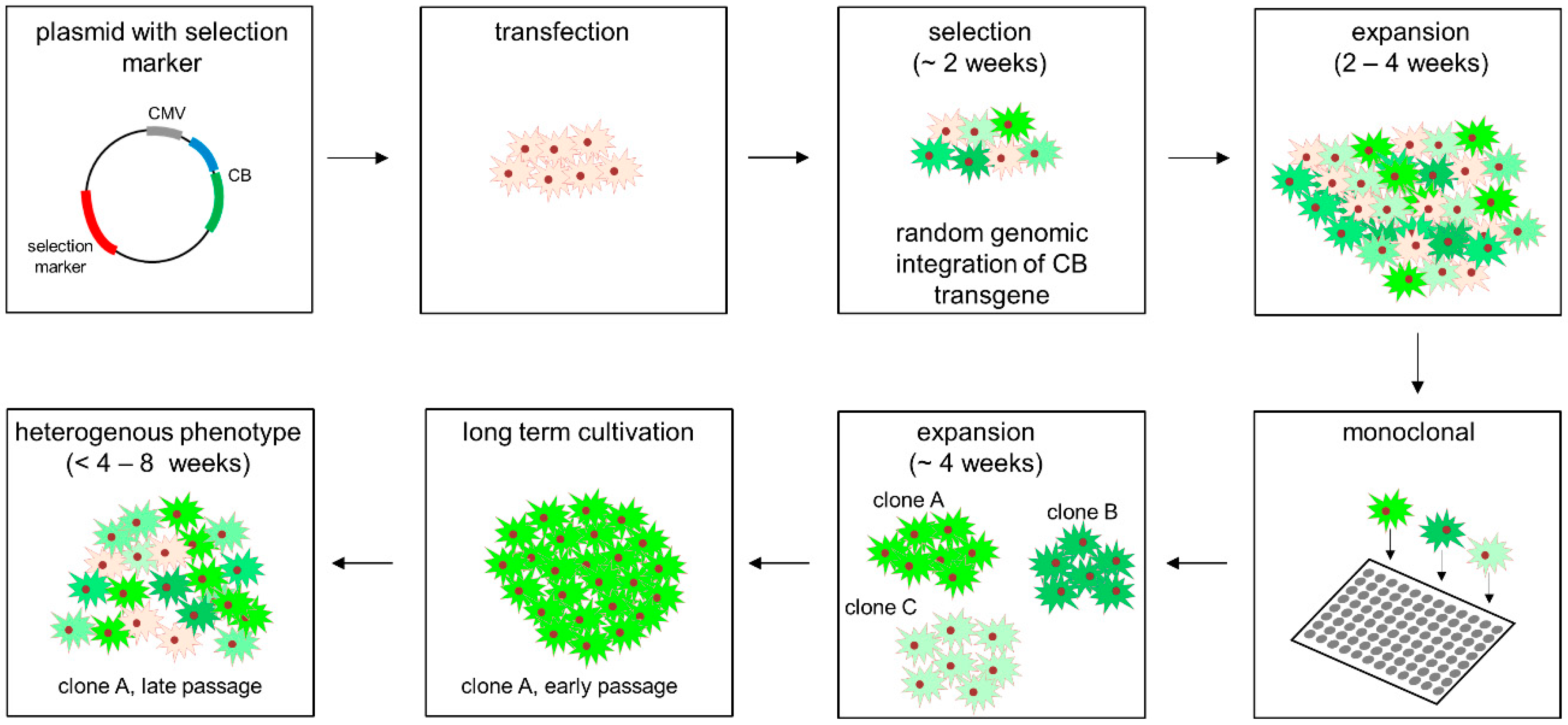 Antibodies 08 00010 g001