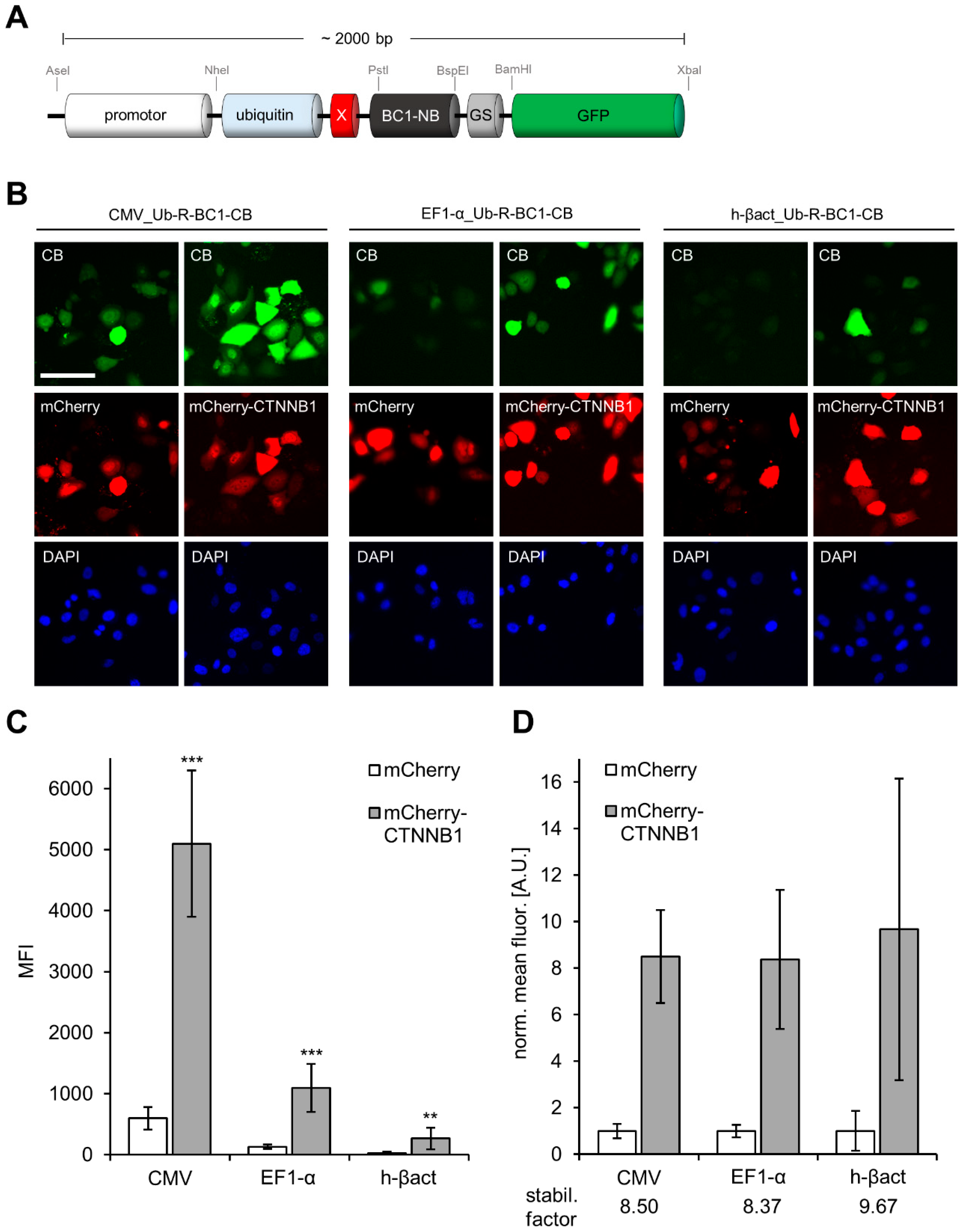 Antibodies 08 00010 g003