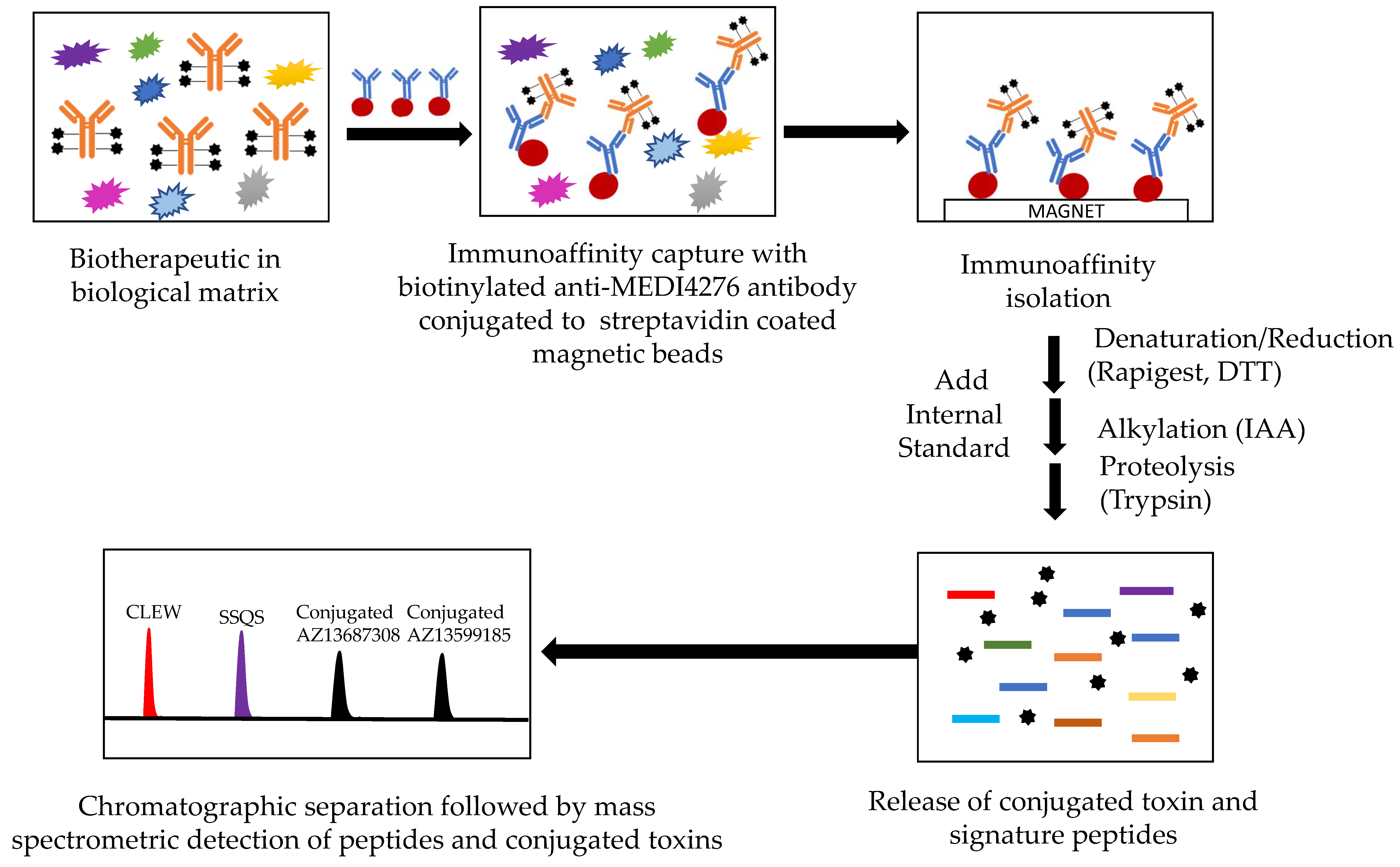 Antibodies 08 00011 g002