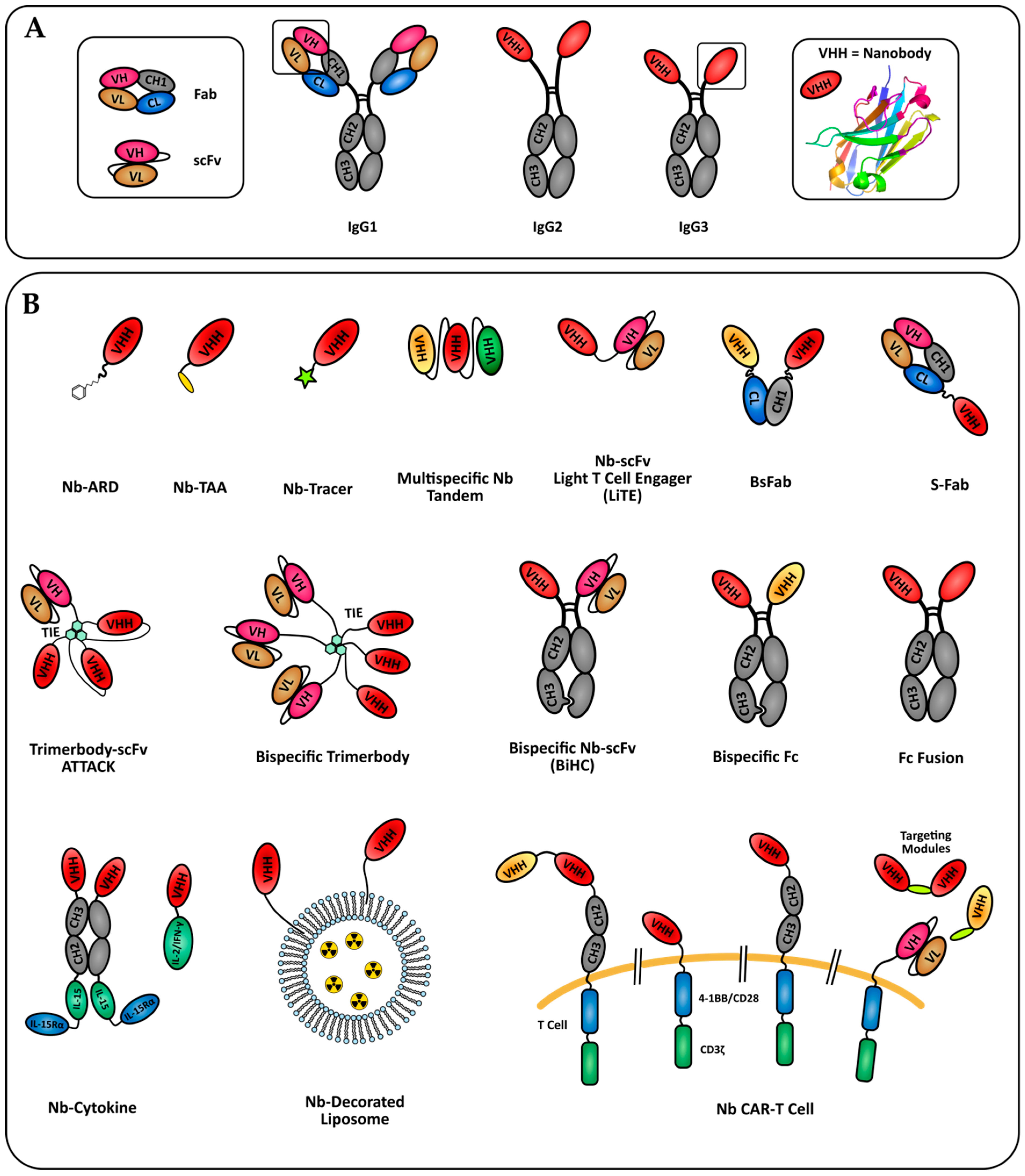 Antibodies 08 00013 g001