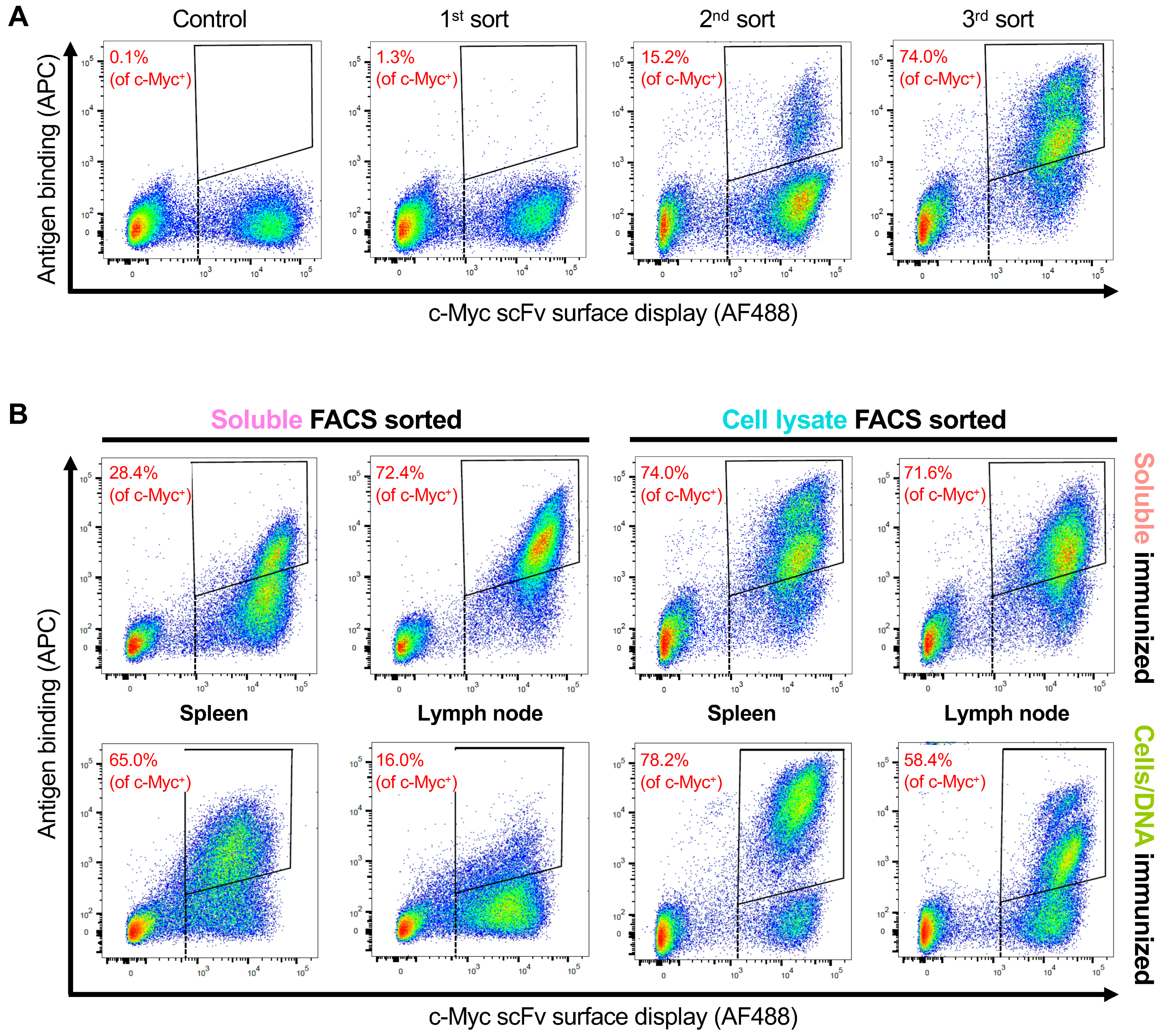 Antibodies 08 00017 g002