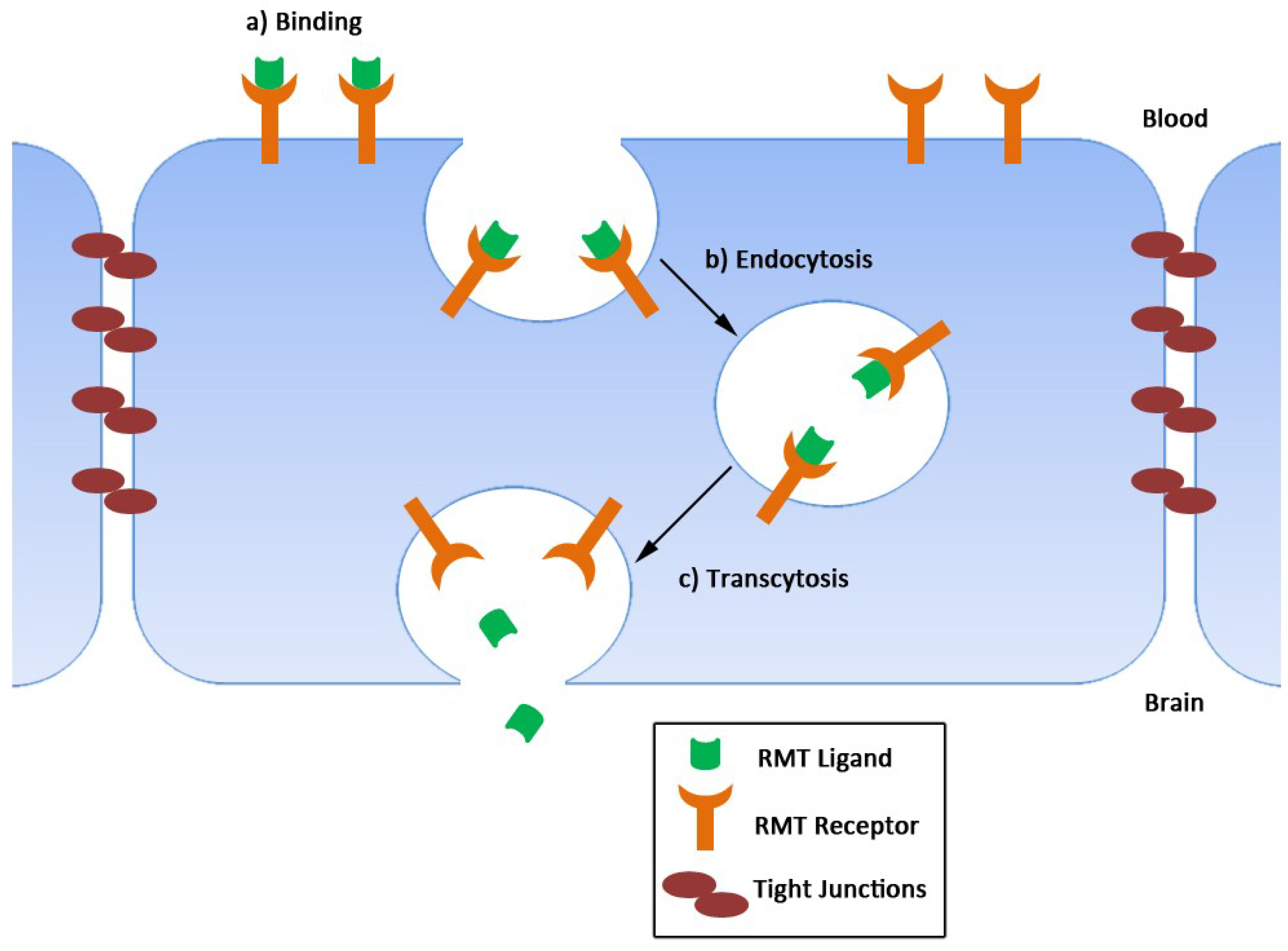 Antibodies 08 00027 g002