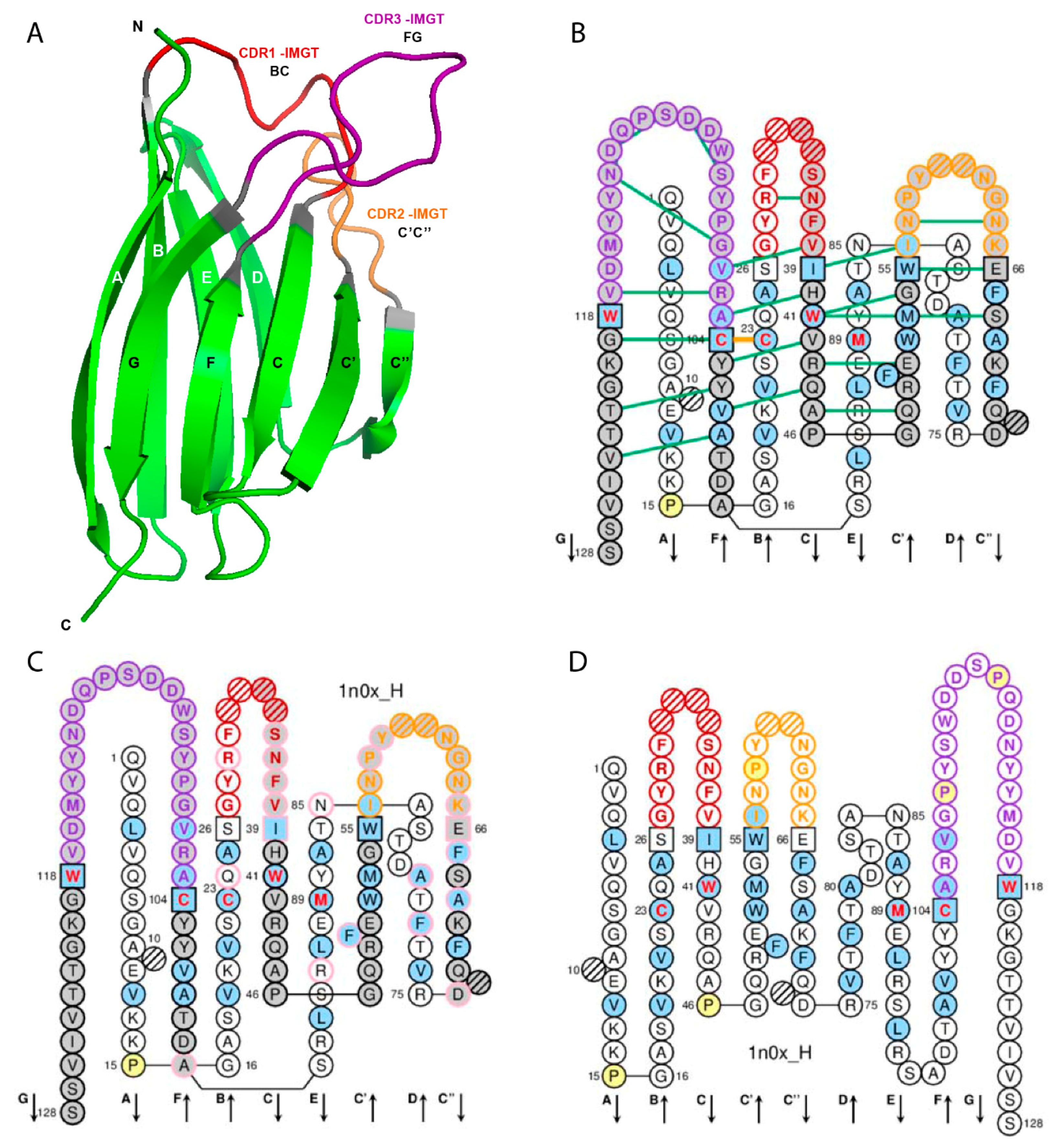Antibodies 08 00029 g001