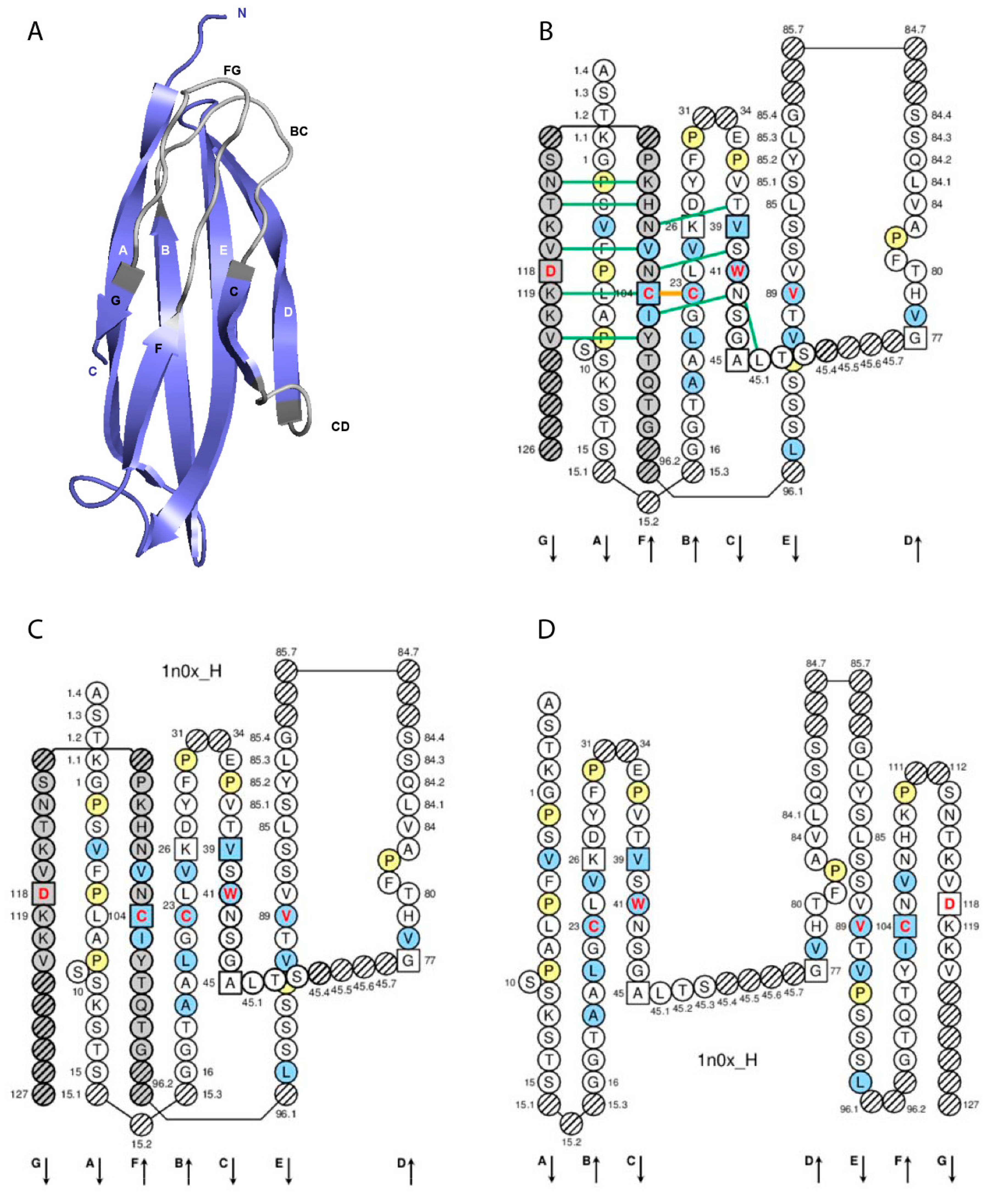 Antibodies 08 00029 g002