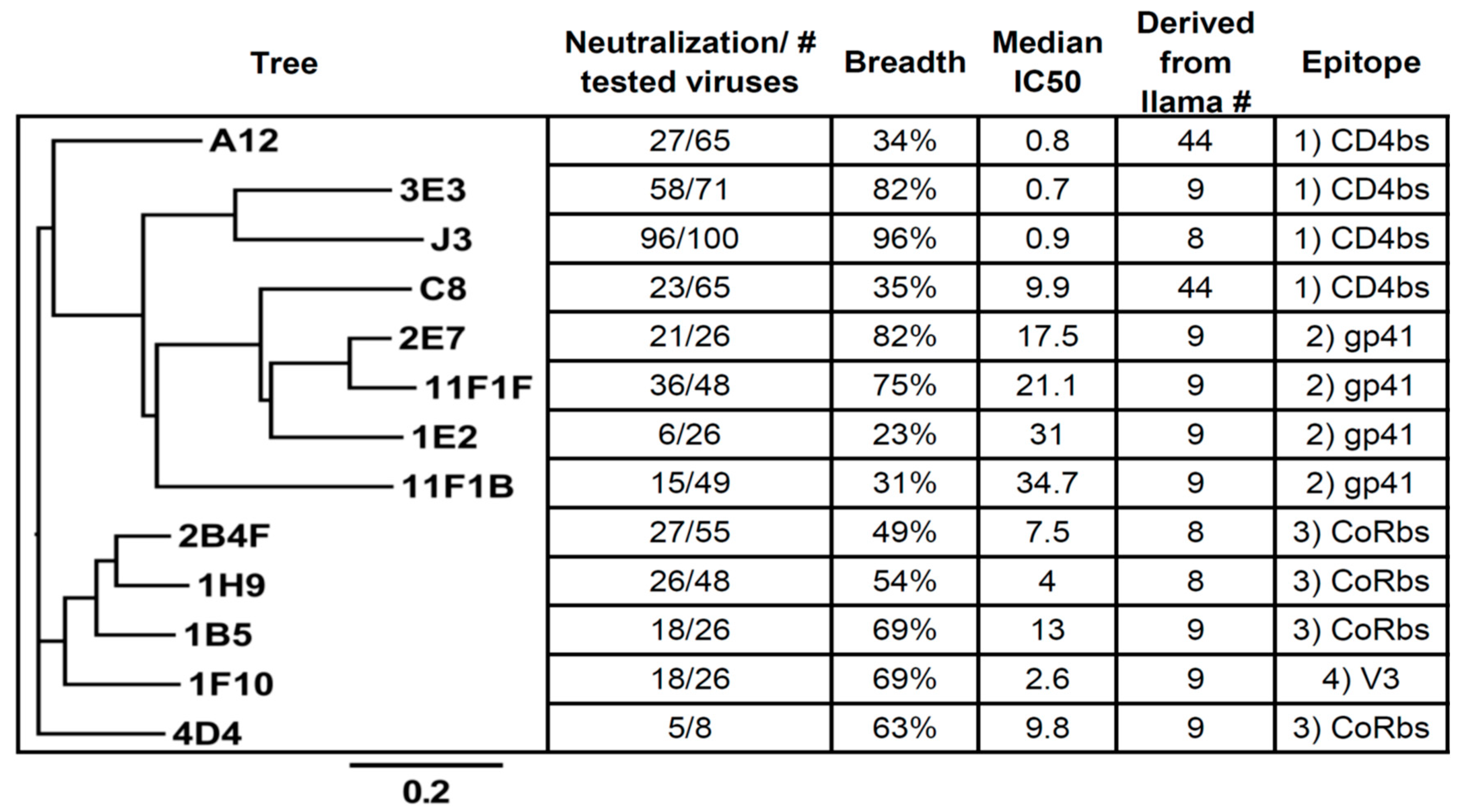 Antibodies 08 00038 g002