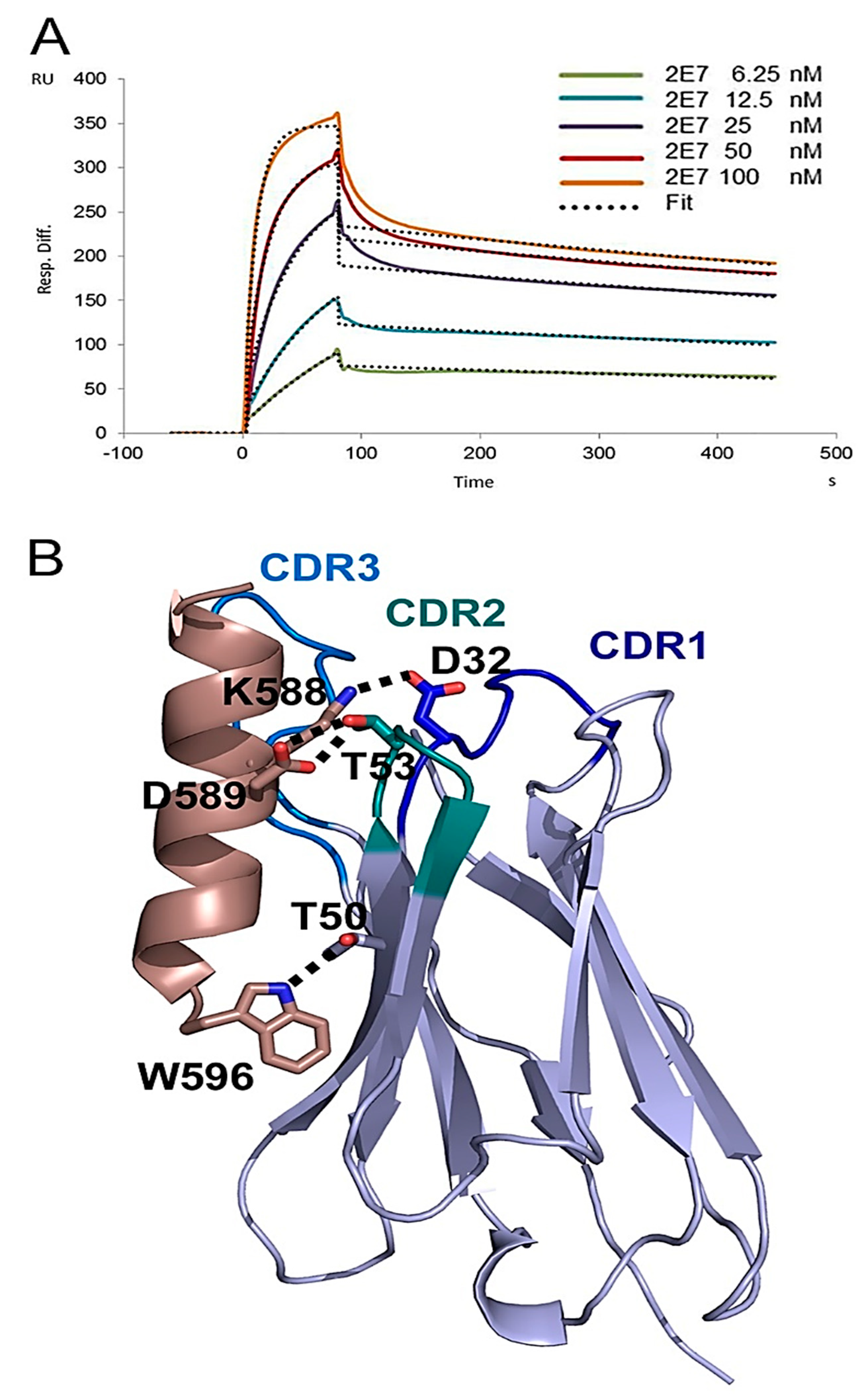 Antibodies 08 00038 g005
