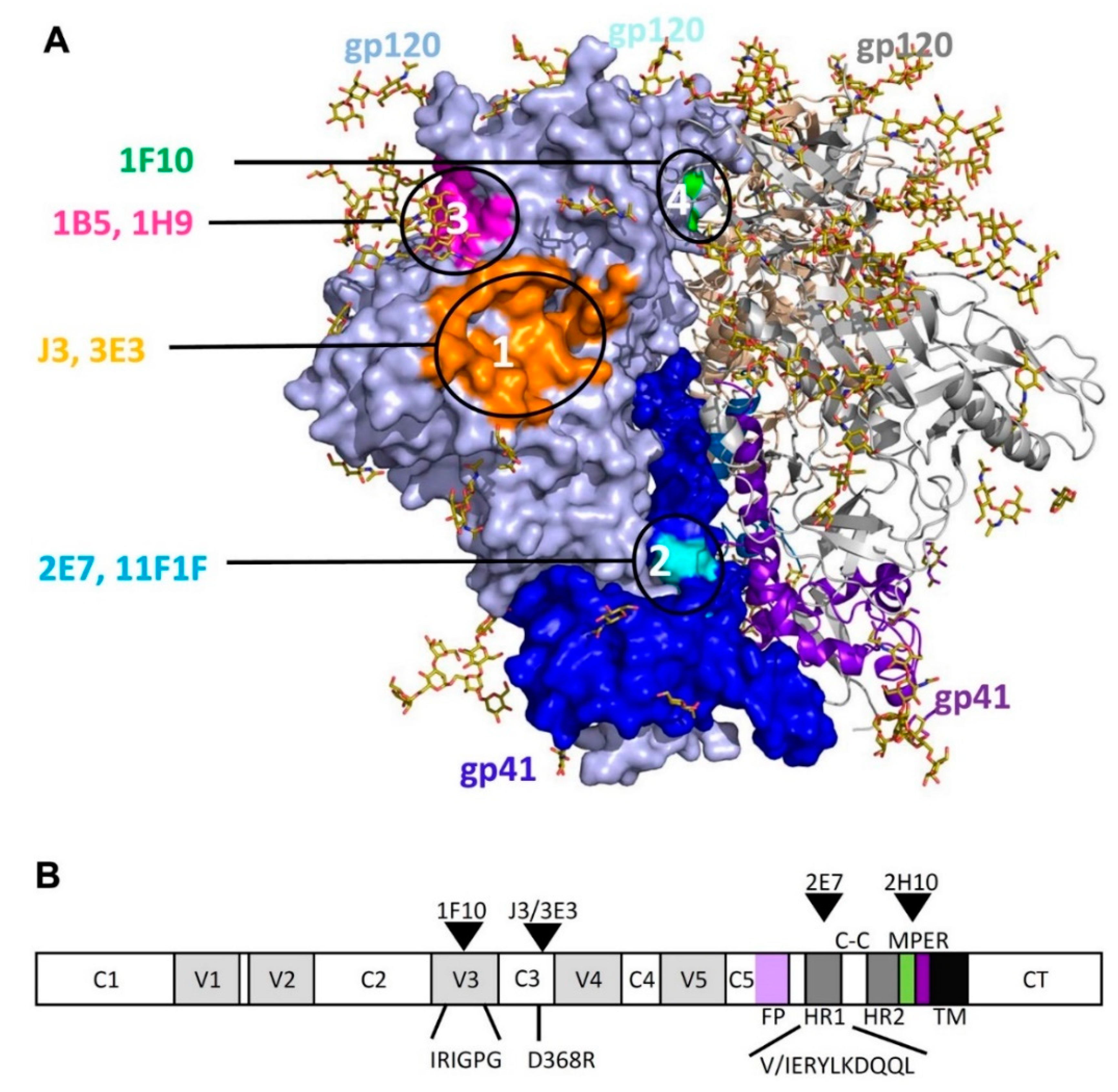 Antibodies 08 00038 g006