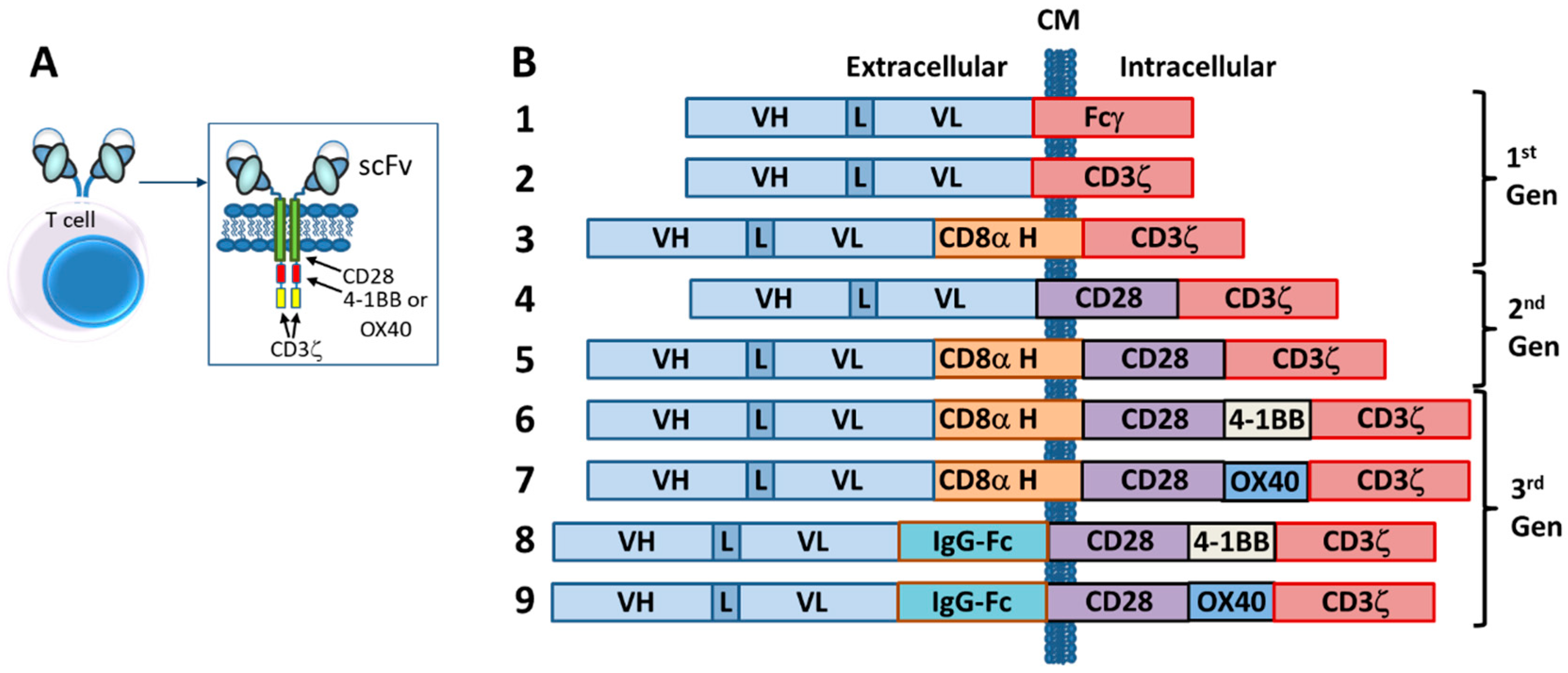 Antibodies 08 00041 g003