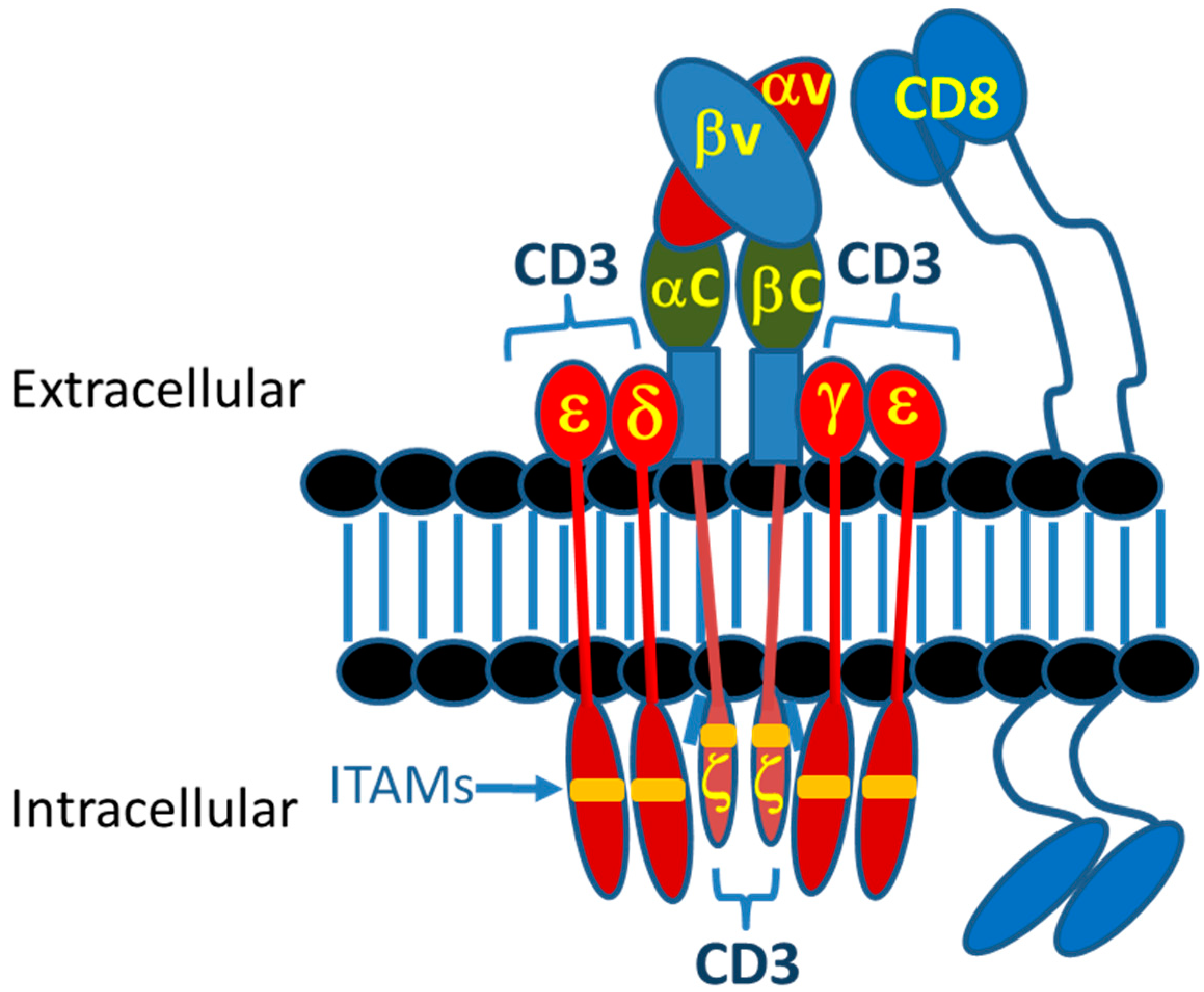 Antibodies 08 00041 g005
