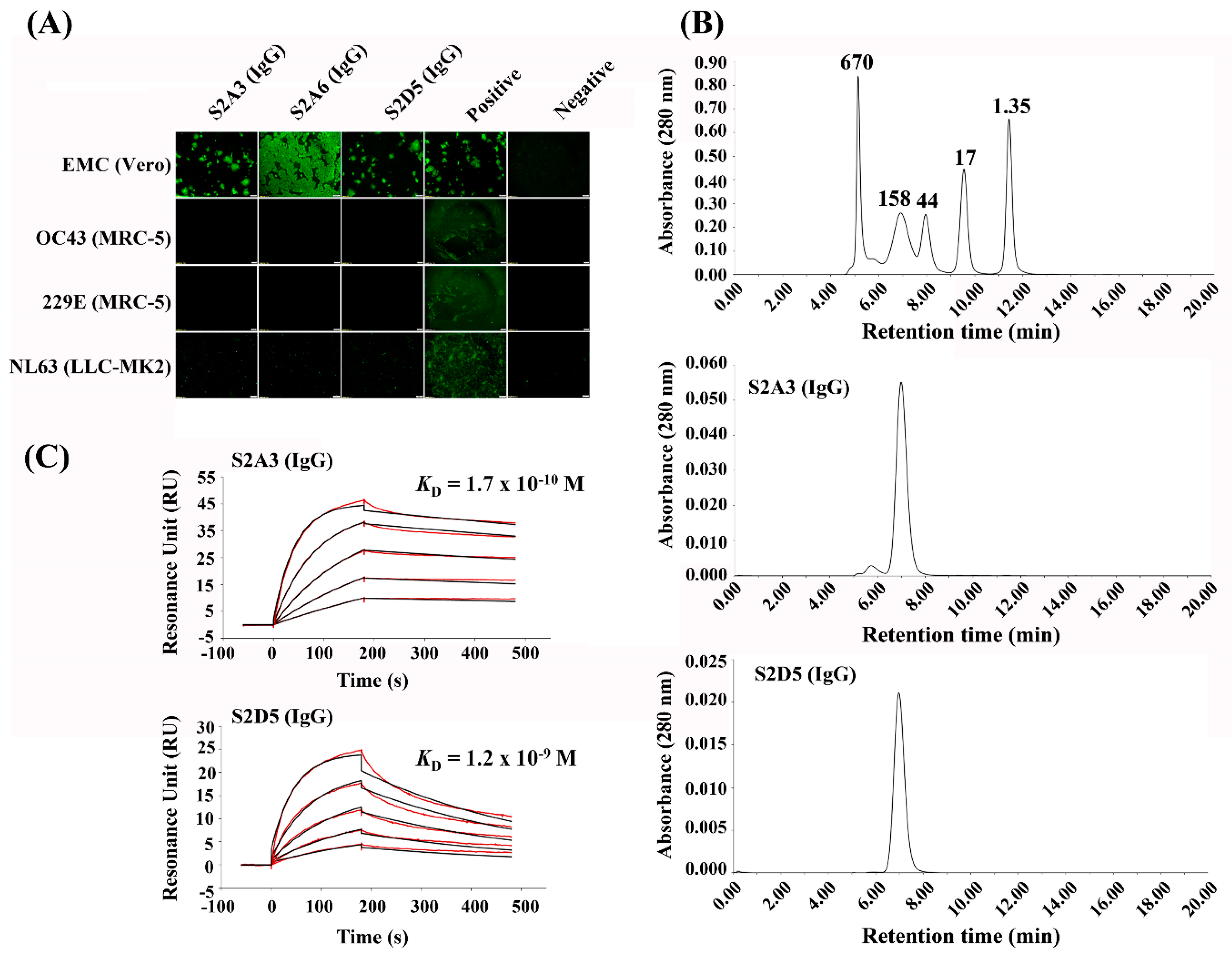 Antibodies 08 00042 g004
