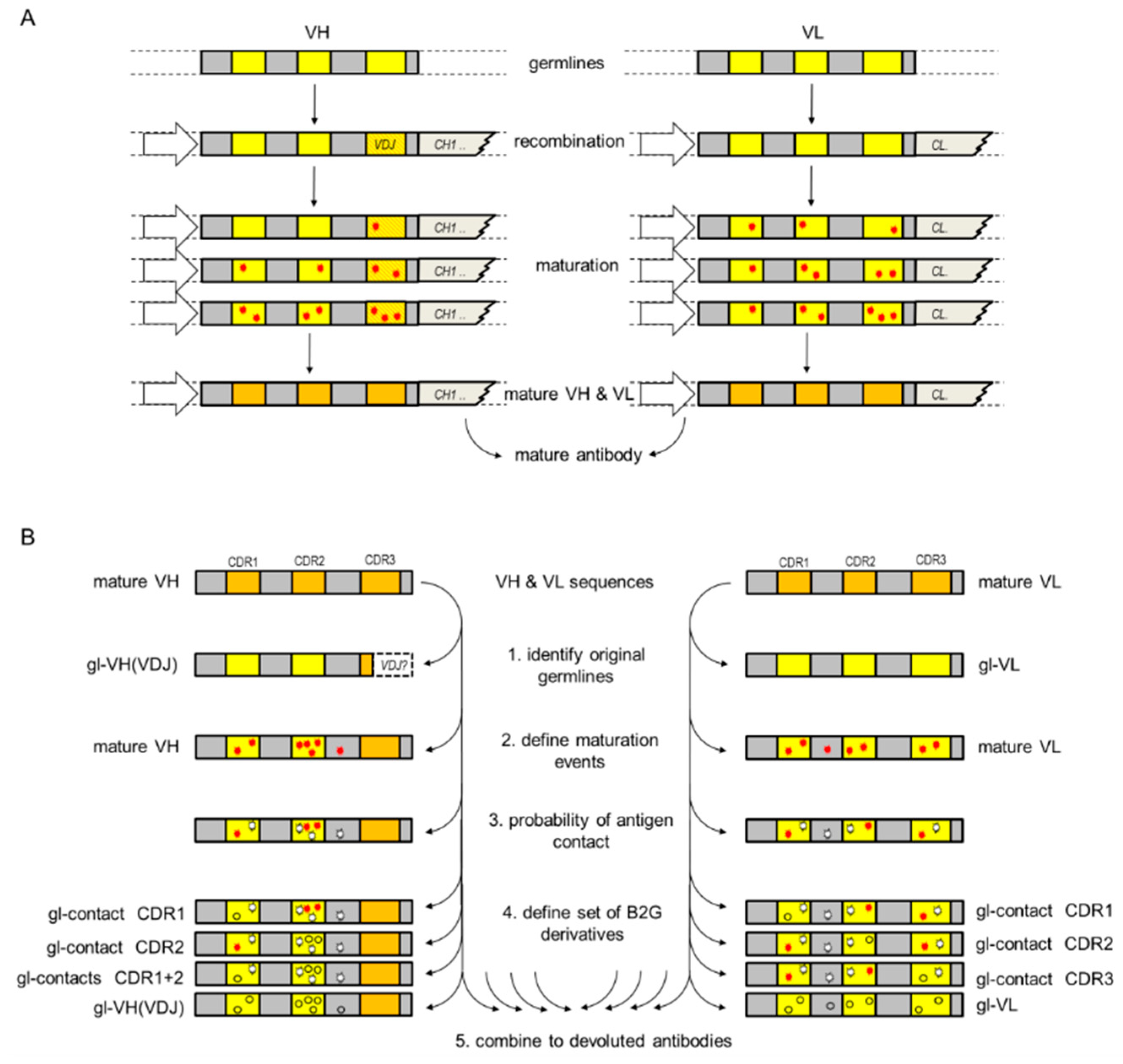 Antibodies 08 00045 g001 Antibodies 08 00045 g001